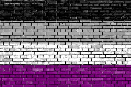 The Asexual Flag