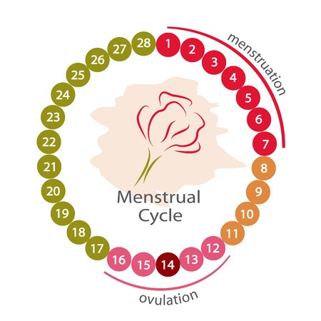 Sex menstruation How to