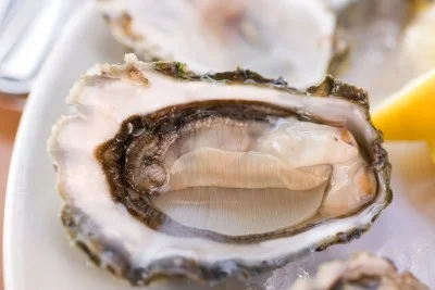 oyster-vulva-aphrodisiac.jpg