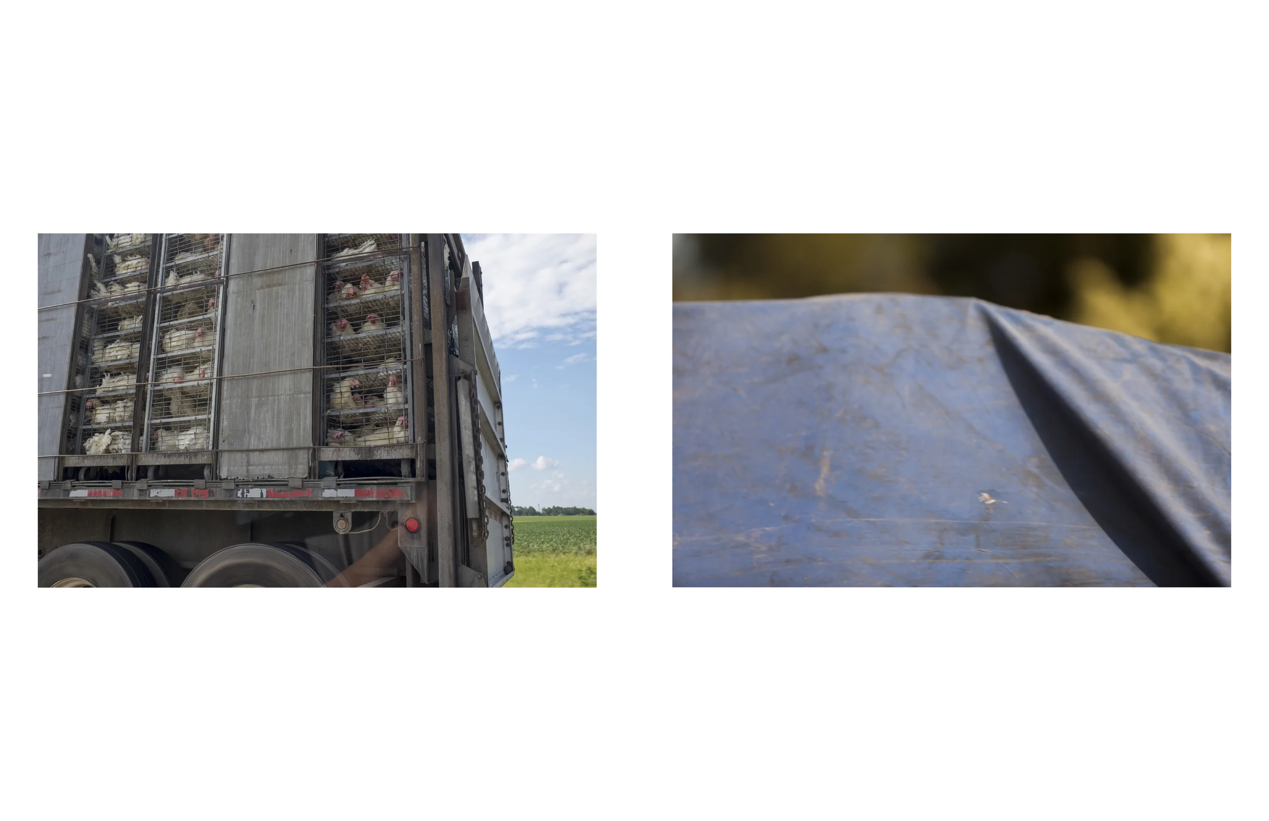 freightbookfinal-008-5.jpg