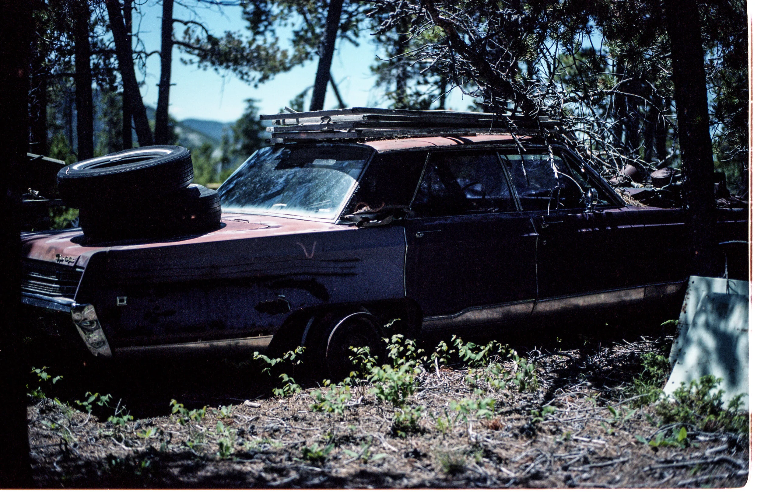 2018 M7 50lux portra035-6.jpg