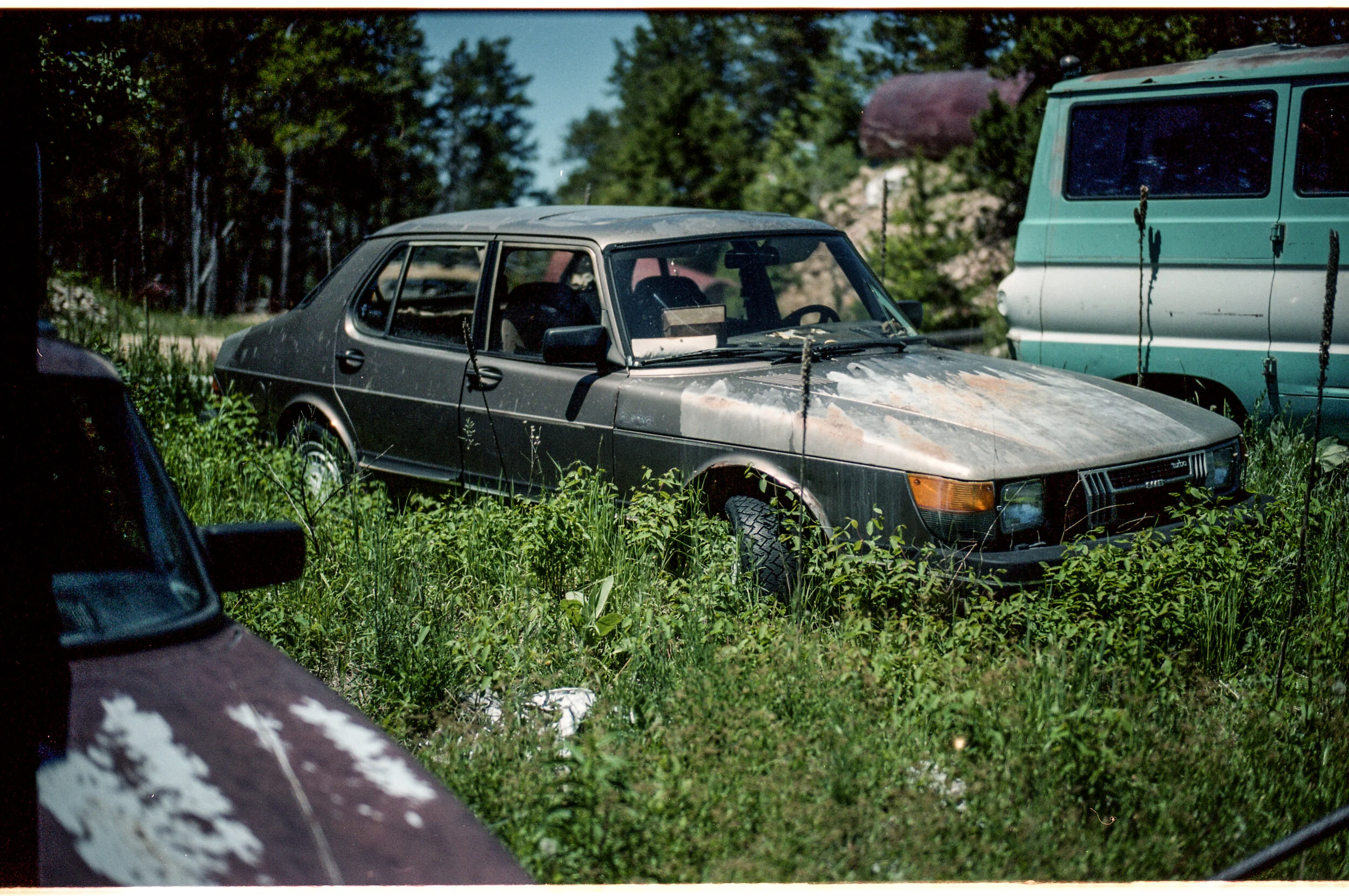 2018 M7 50lux portra037-4.jpg