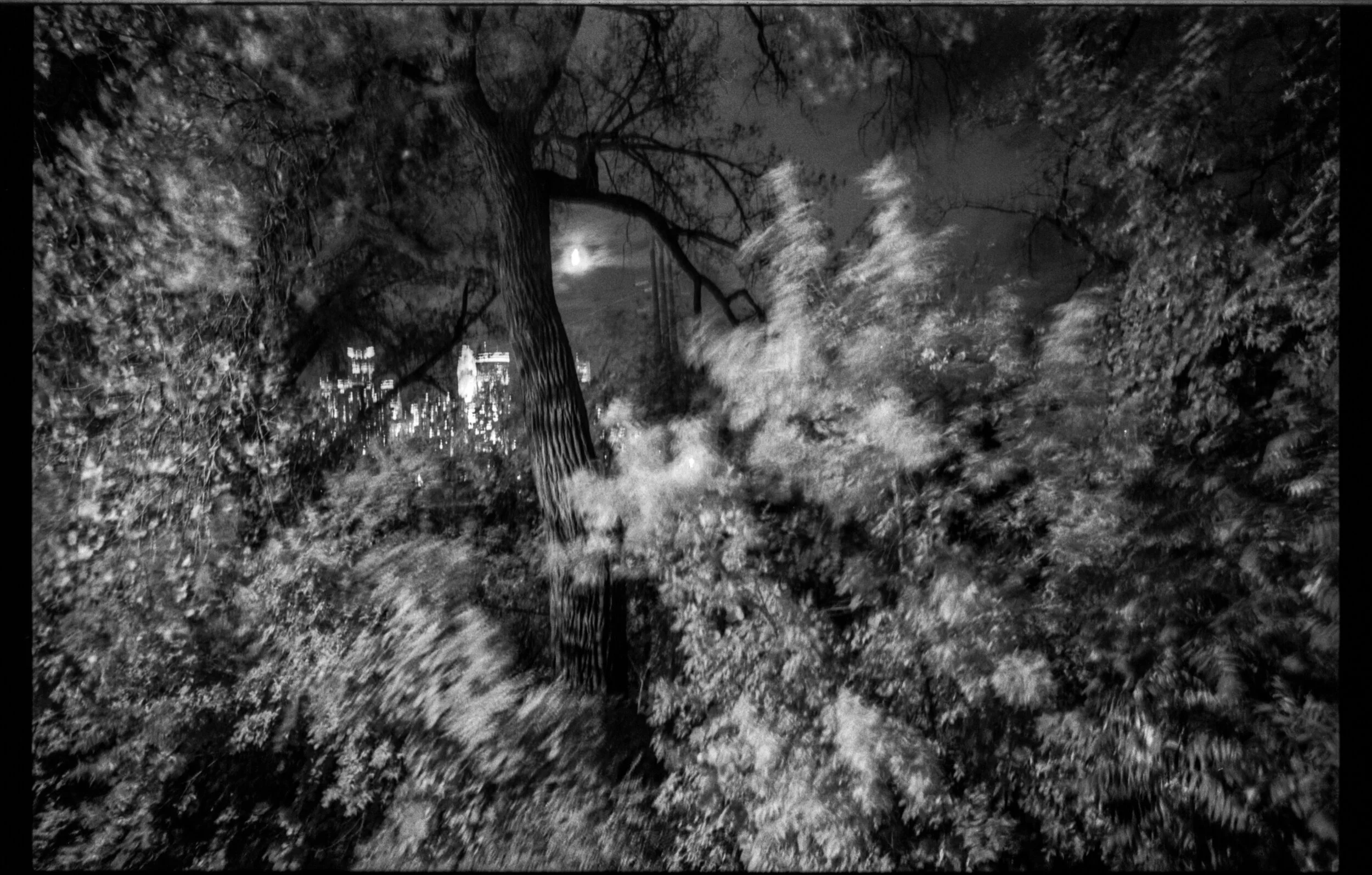 2018 21zf fnik636.jpg