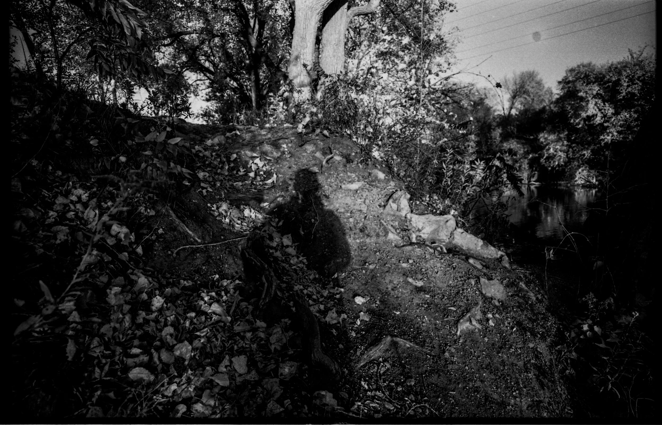 2018 river walk570.jpg