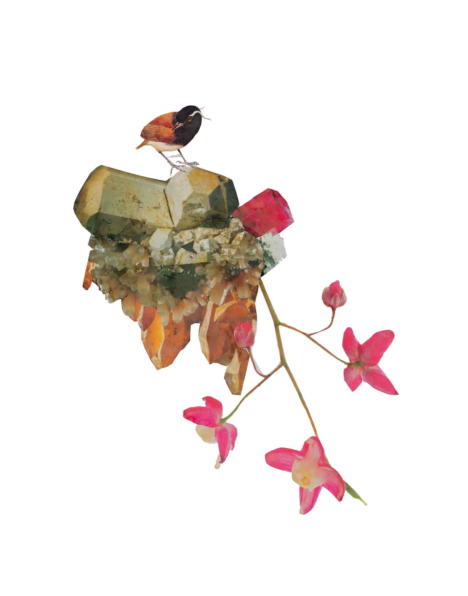 BirdonStone_22x28.jpg