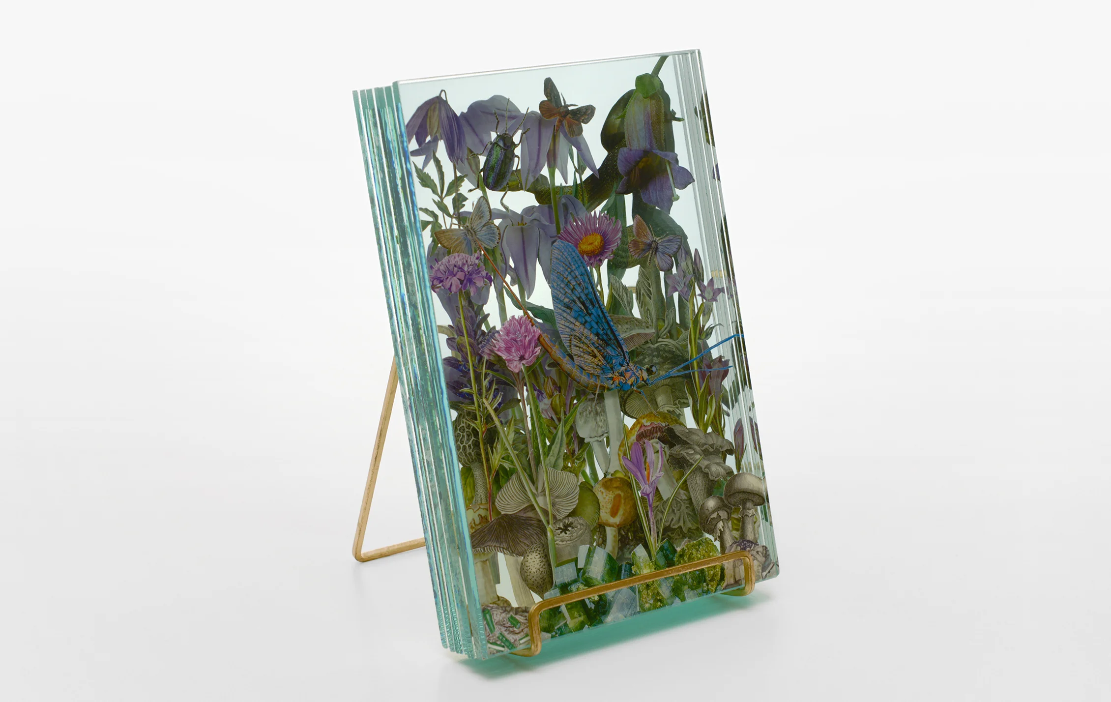 WEB_Ecologies_Purple_Side2.jpg