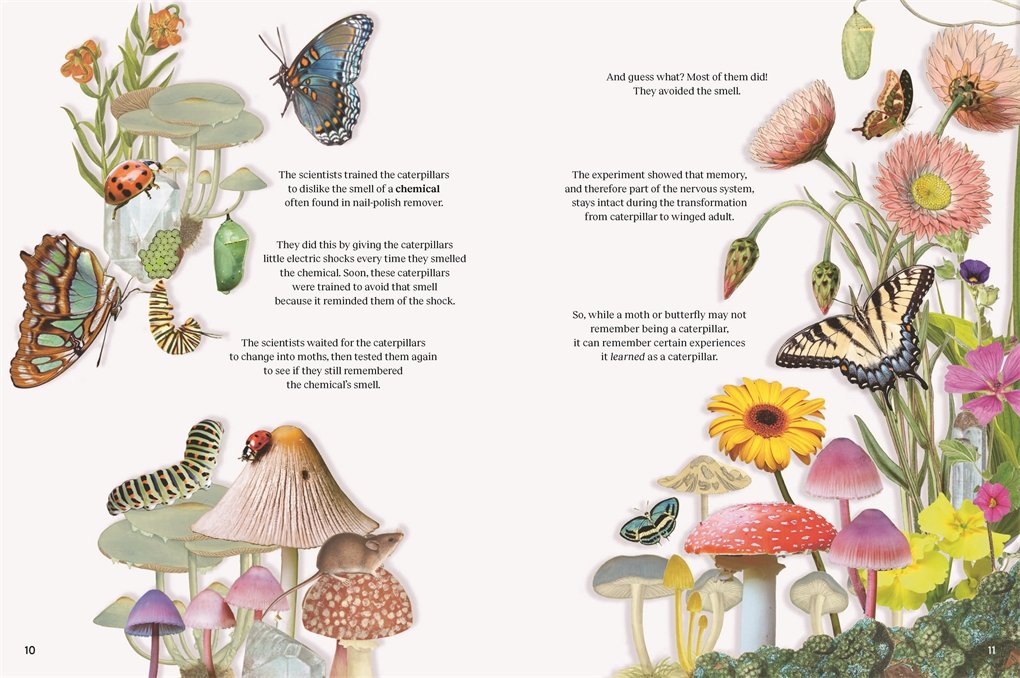 Tactile Illustration - Animal & Botanical