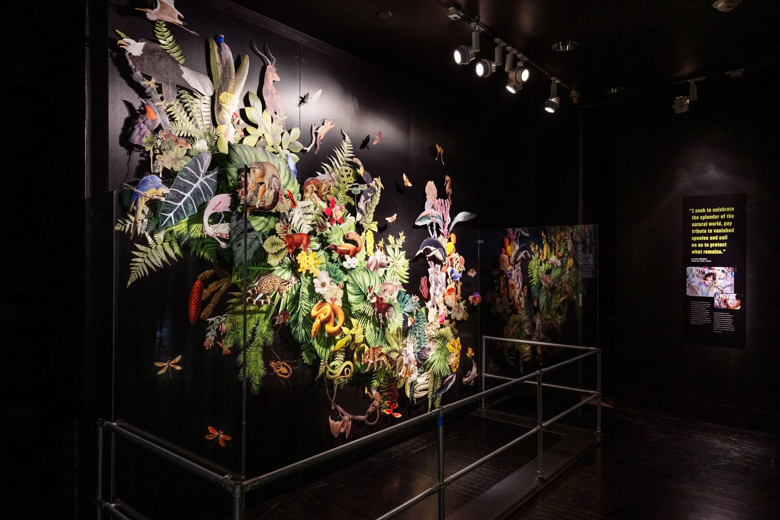 Three-Dimensional Tyvek Art Installation — American Museum of Natural History Commission