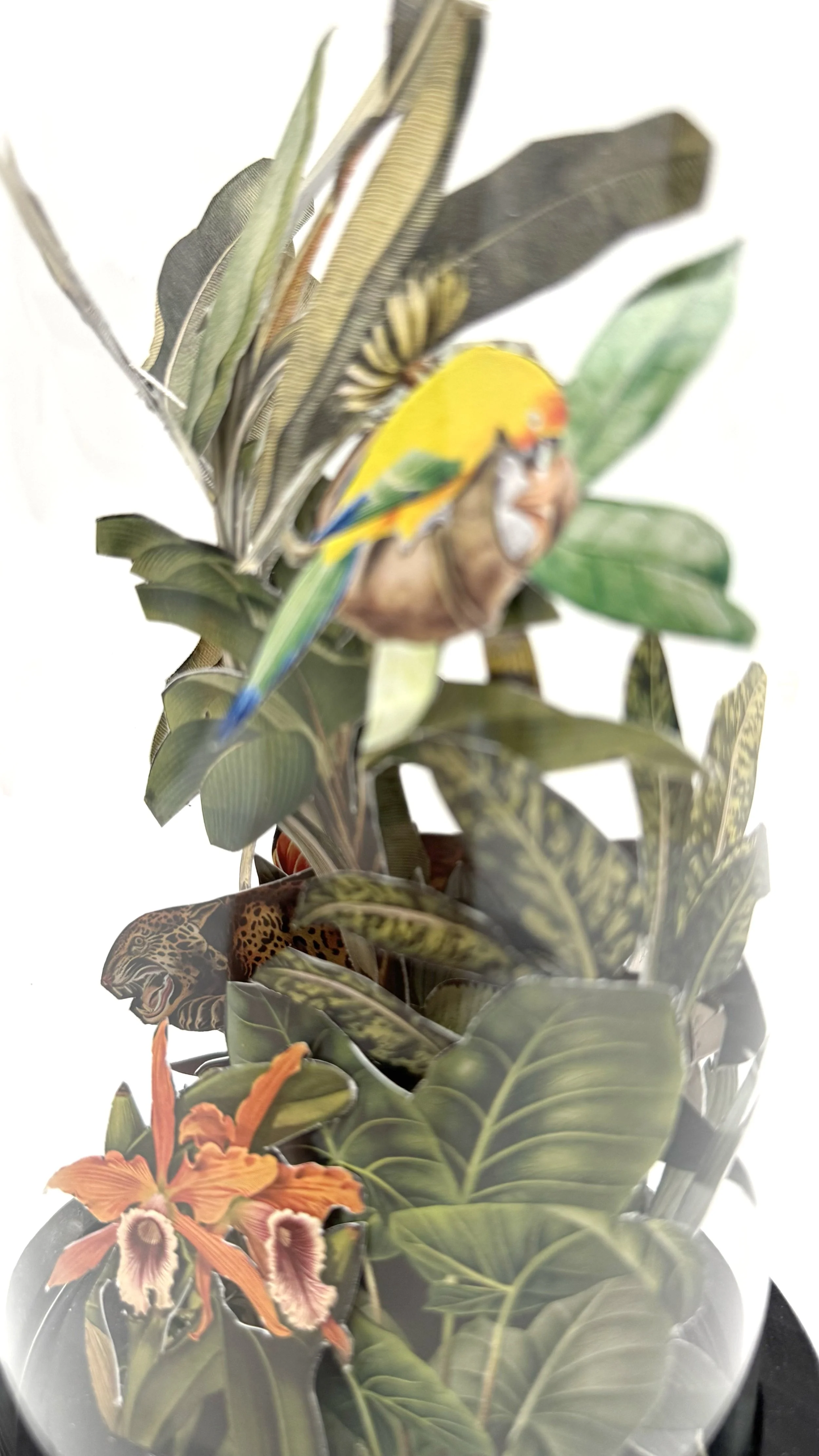 Jungle Greenhouse closeup.jpg