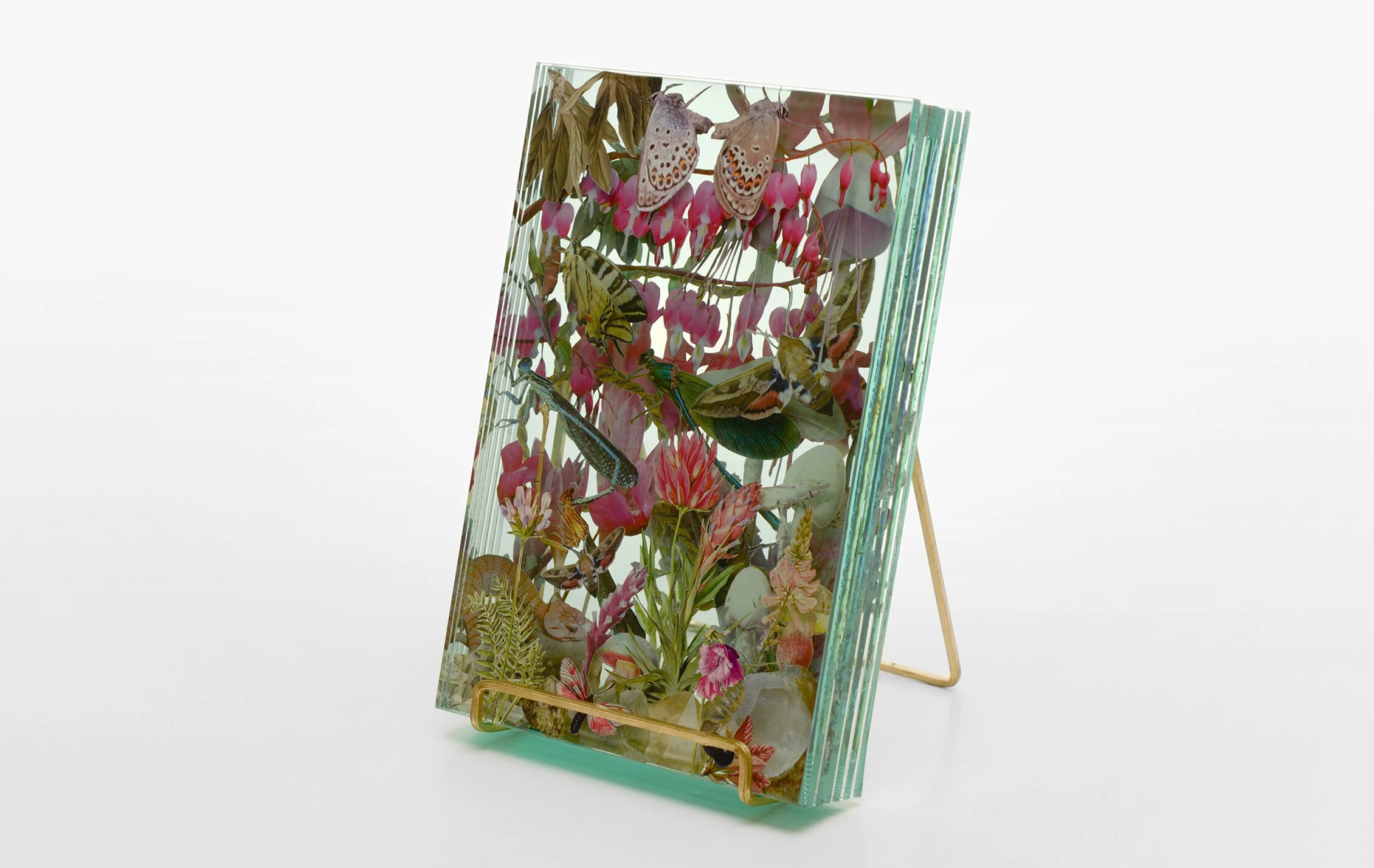 1+WEB_Ecologies_Pink_Side1.jpg