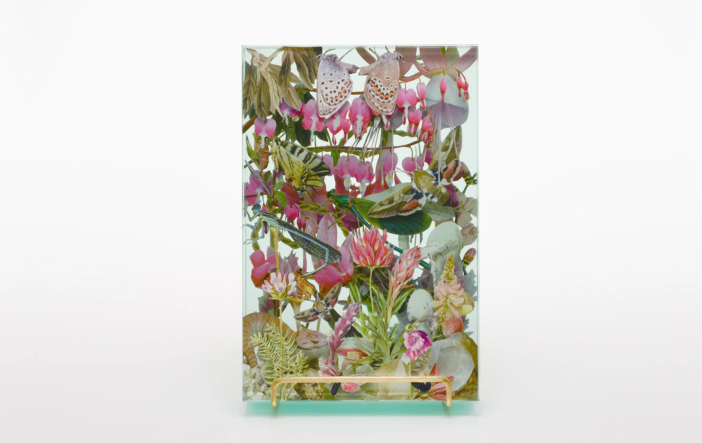 2+WEB_Ecologies_Pink_Frontal.jpg