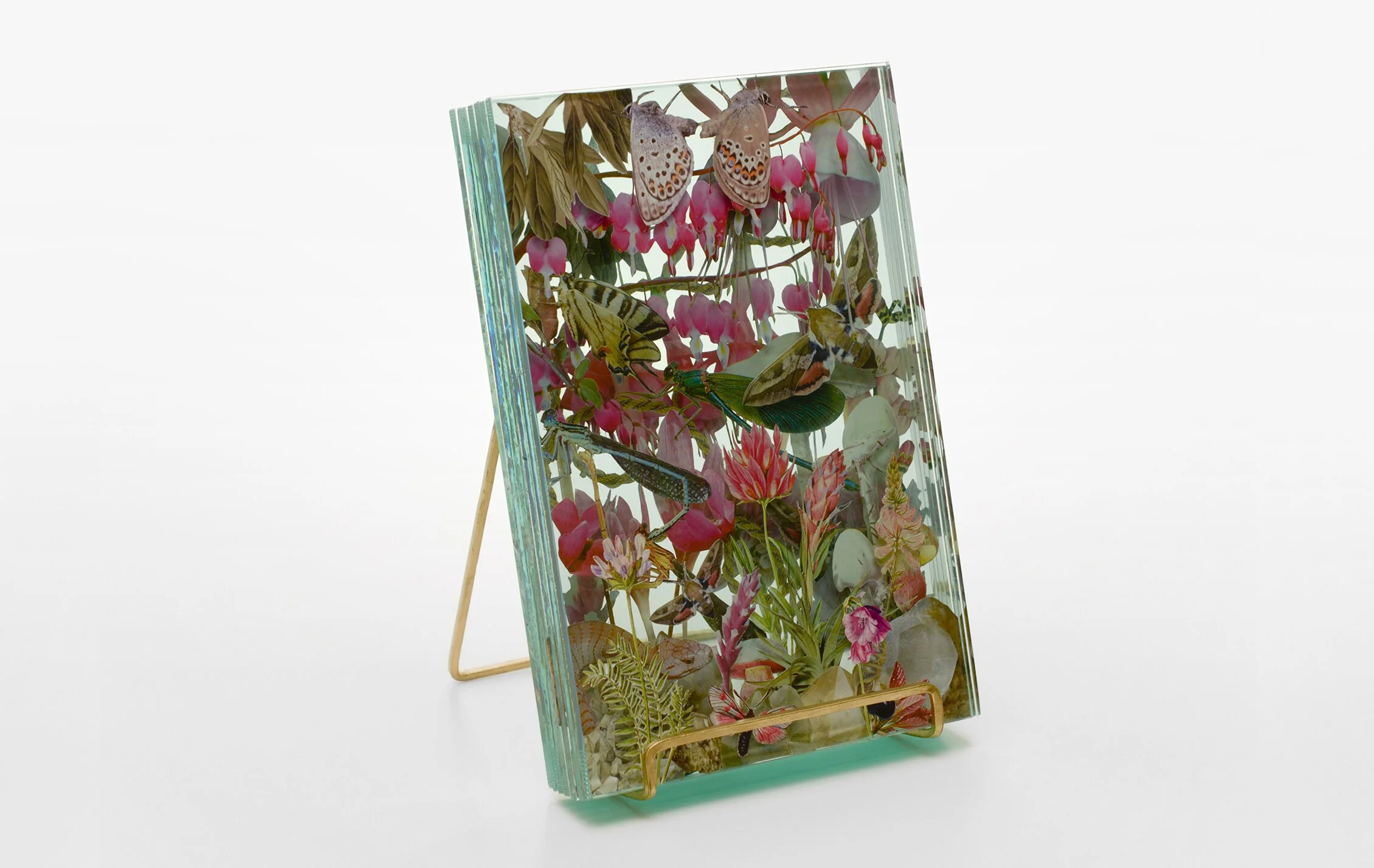 3+WEB_Ecologies_Pink_Side2.jpg