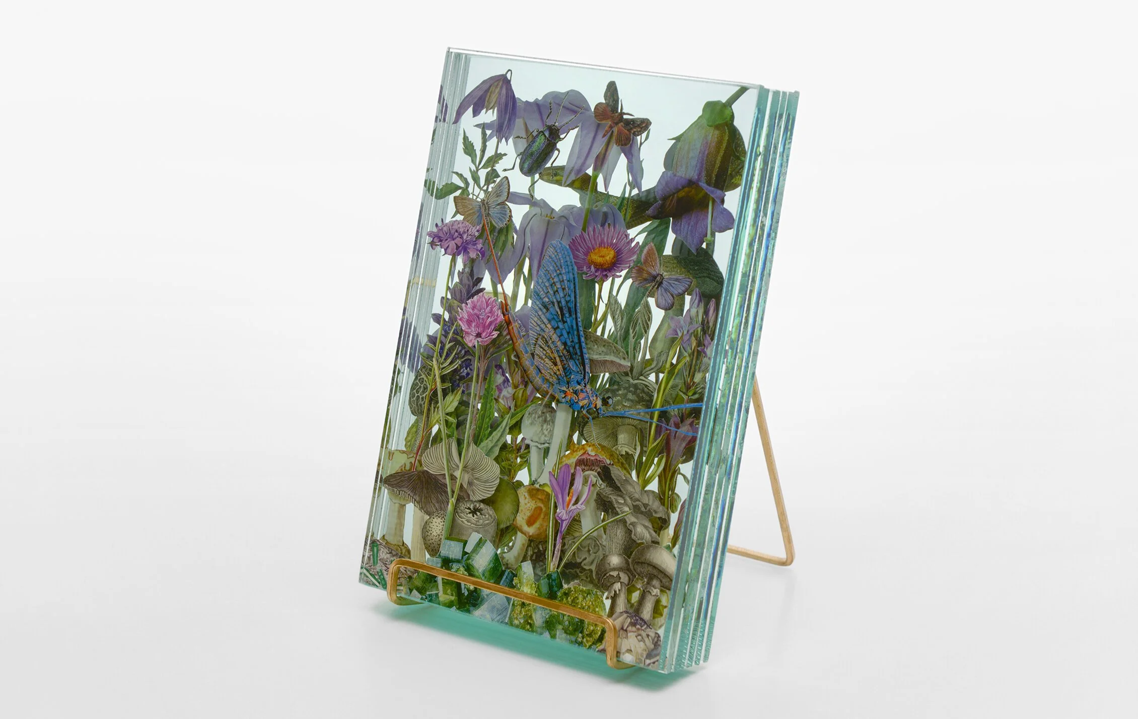9+WEB_Ecologies_Purple_Side1.jpg