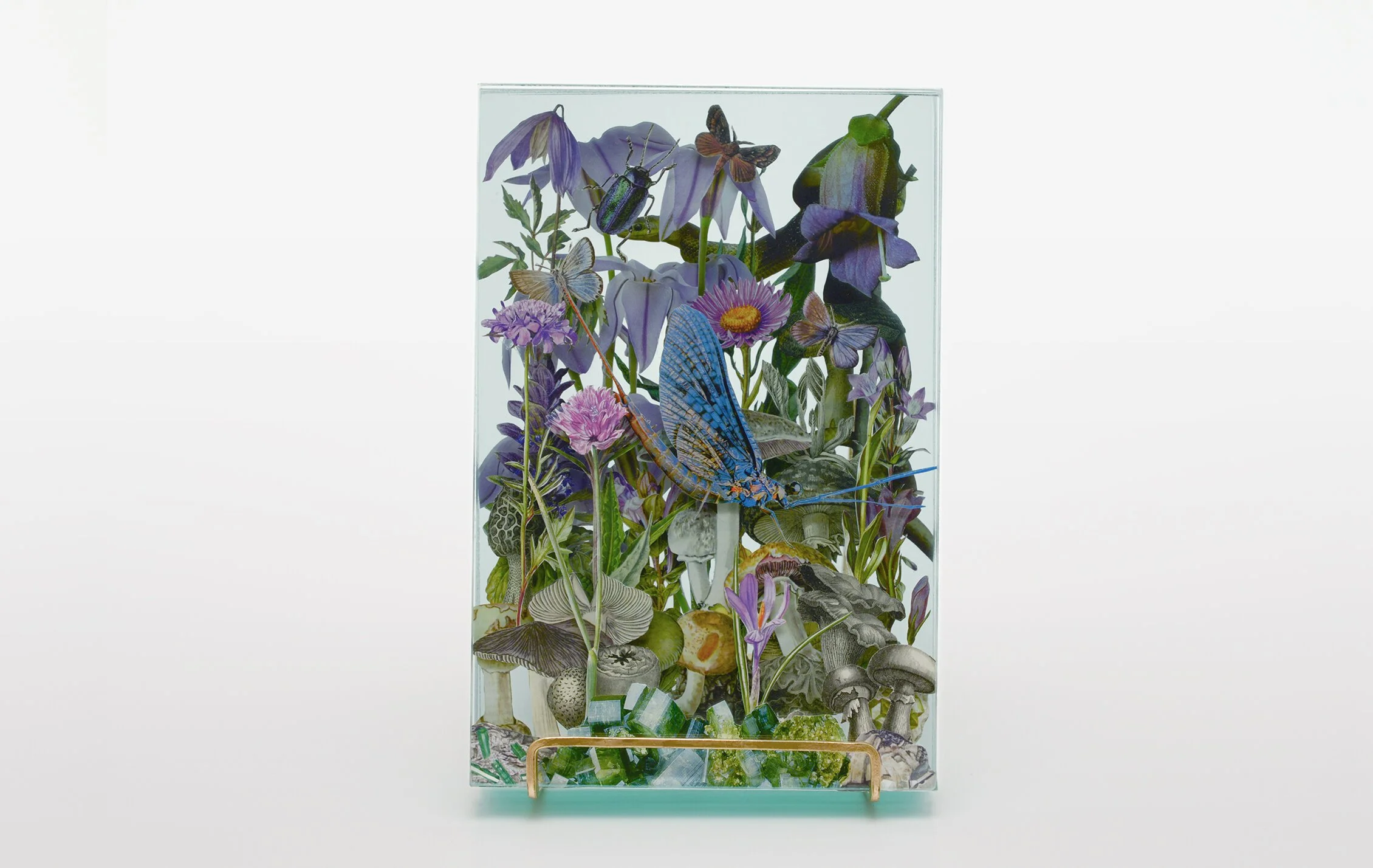 10+WEB_Ecologies_Purple_Frontal.jpg