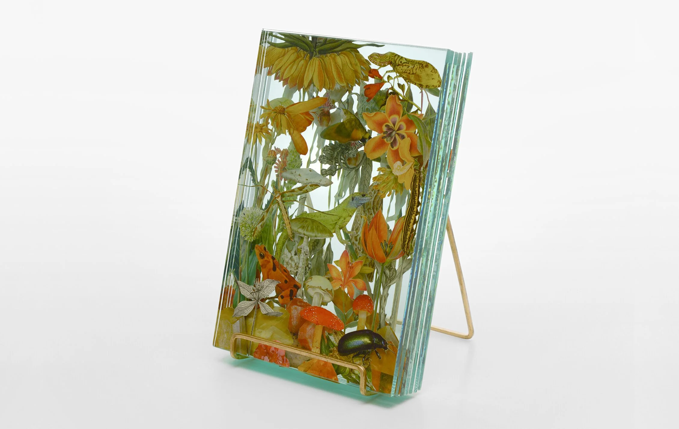 17+WEB_Ecologies_Orange_Side1.jpg