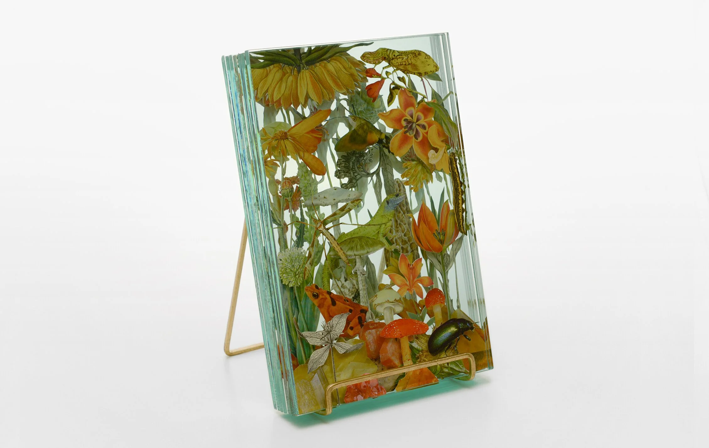 19+WEB_Ecologies_Orange_Side2.jpg