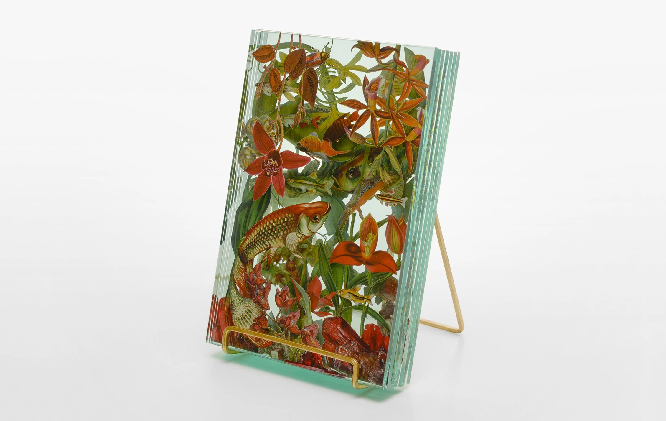 27+WEB_Ecologies_Red_Side1.jpg