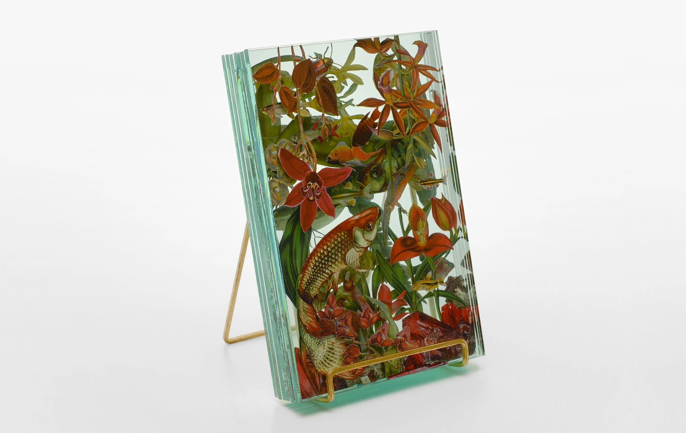 29+Web_Ecologies_Red_Side2.jpg