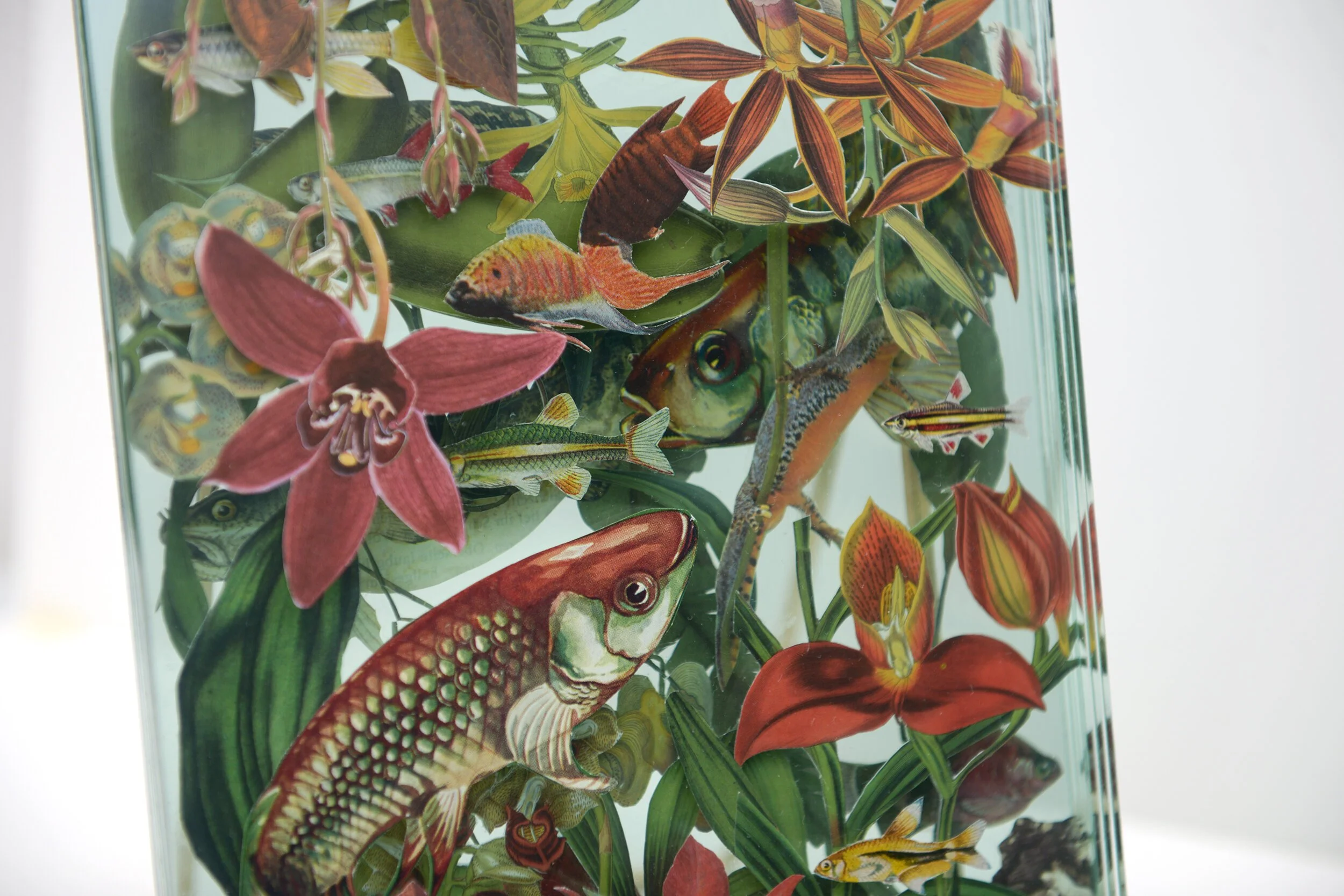 Detail_Web6.jpg