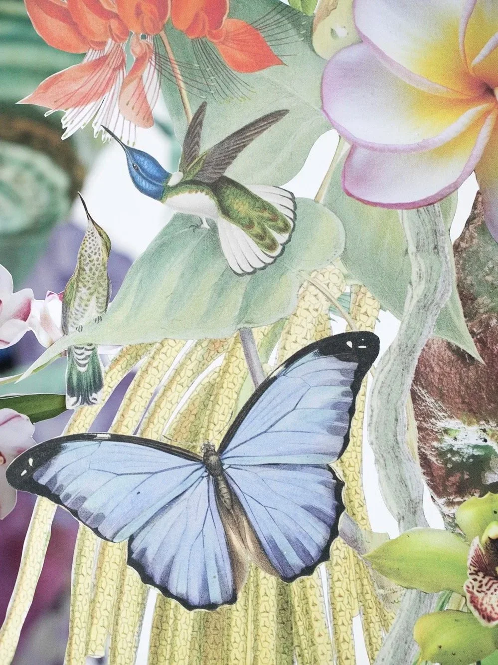 Detail of immersive botanical installation artwork by Clare Celeste Studio, featuring layered nature-inspired collage elements used in large-scale installation environments.