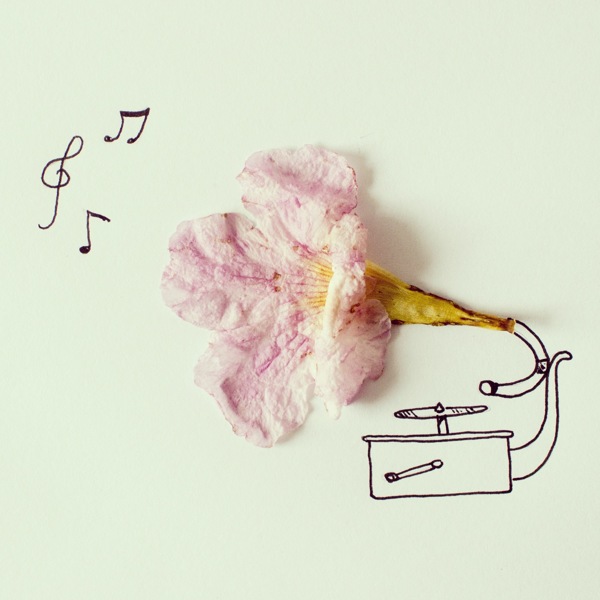Transient