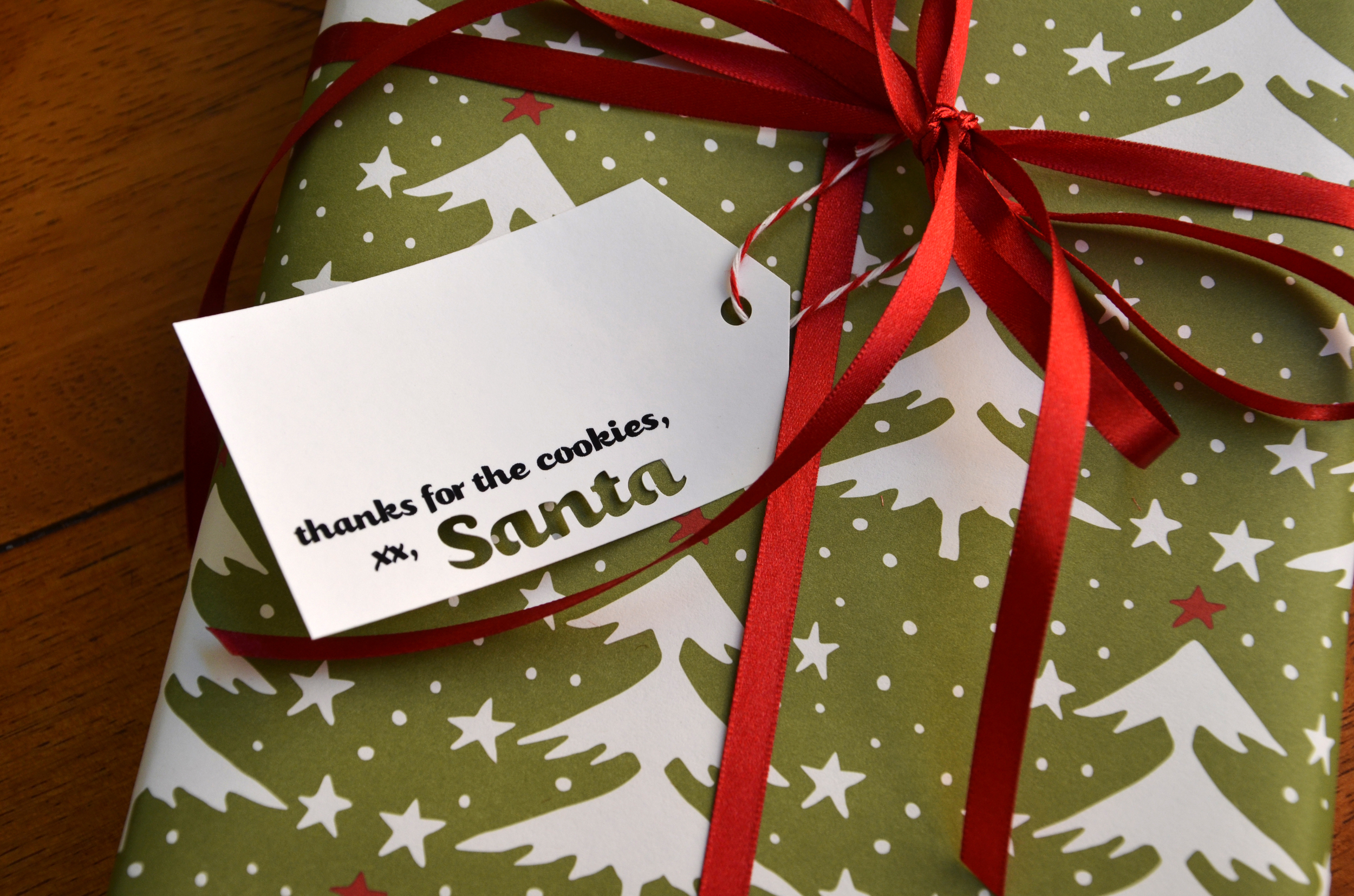 Cookies-for-Santa-3.jpg