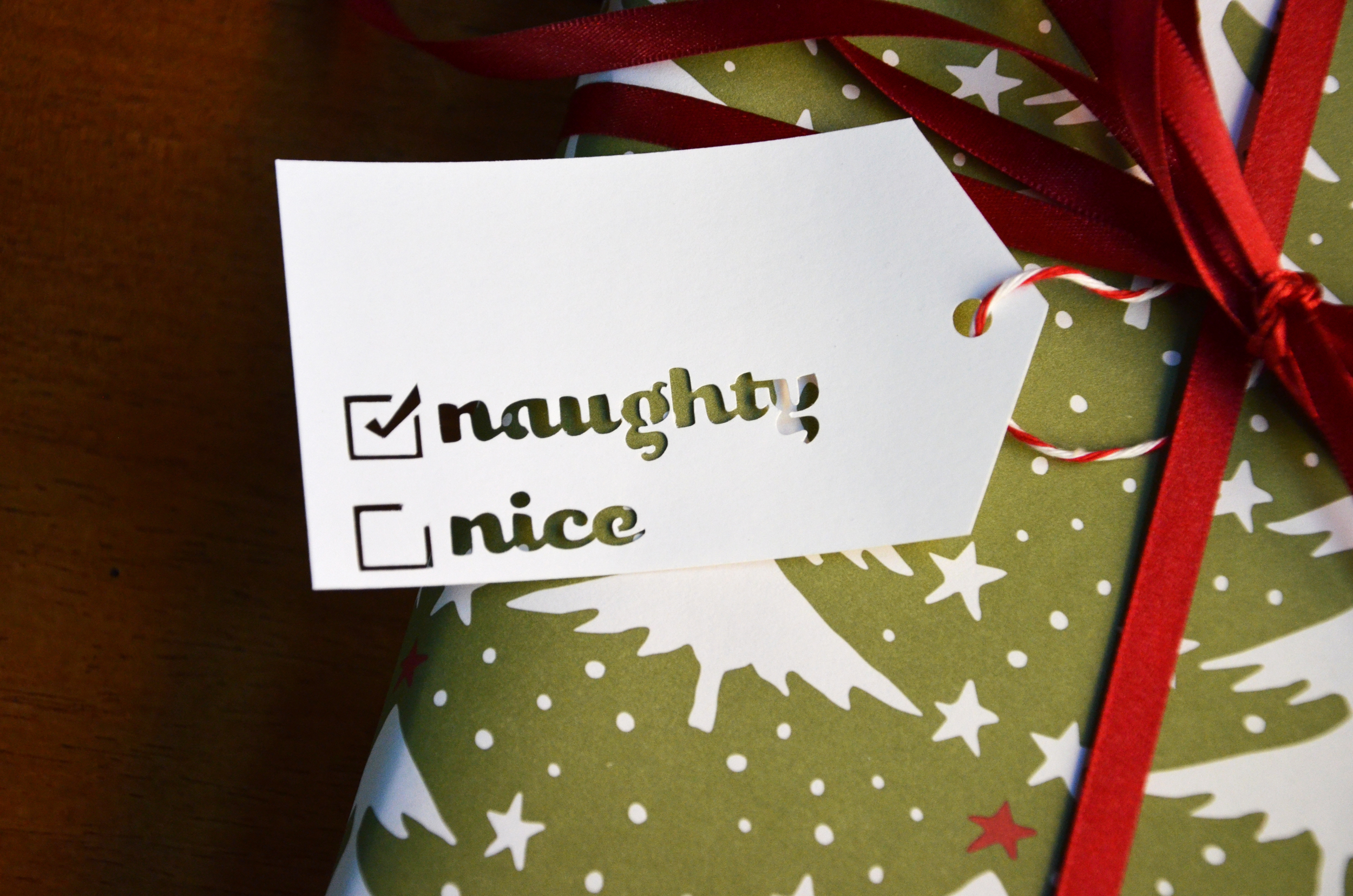 NaughtyNice5.jpg