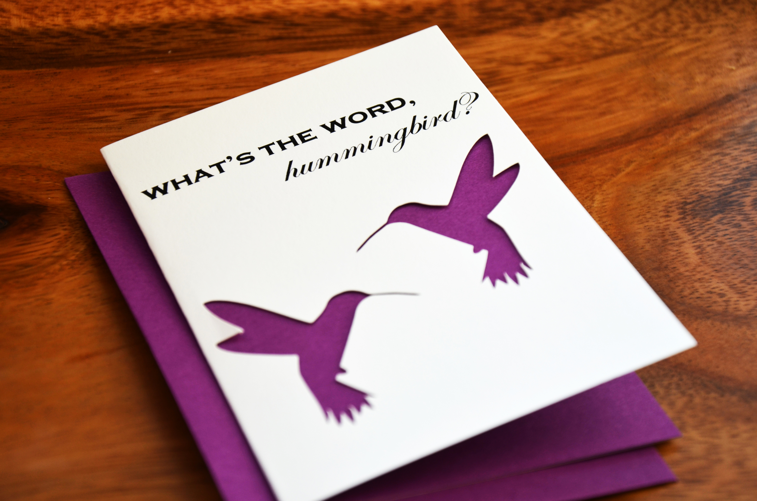 Hummingbird1.jpg