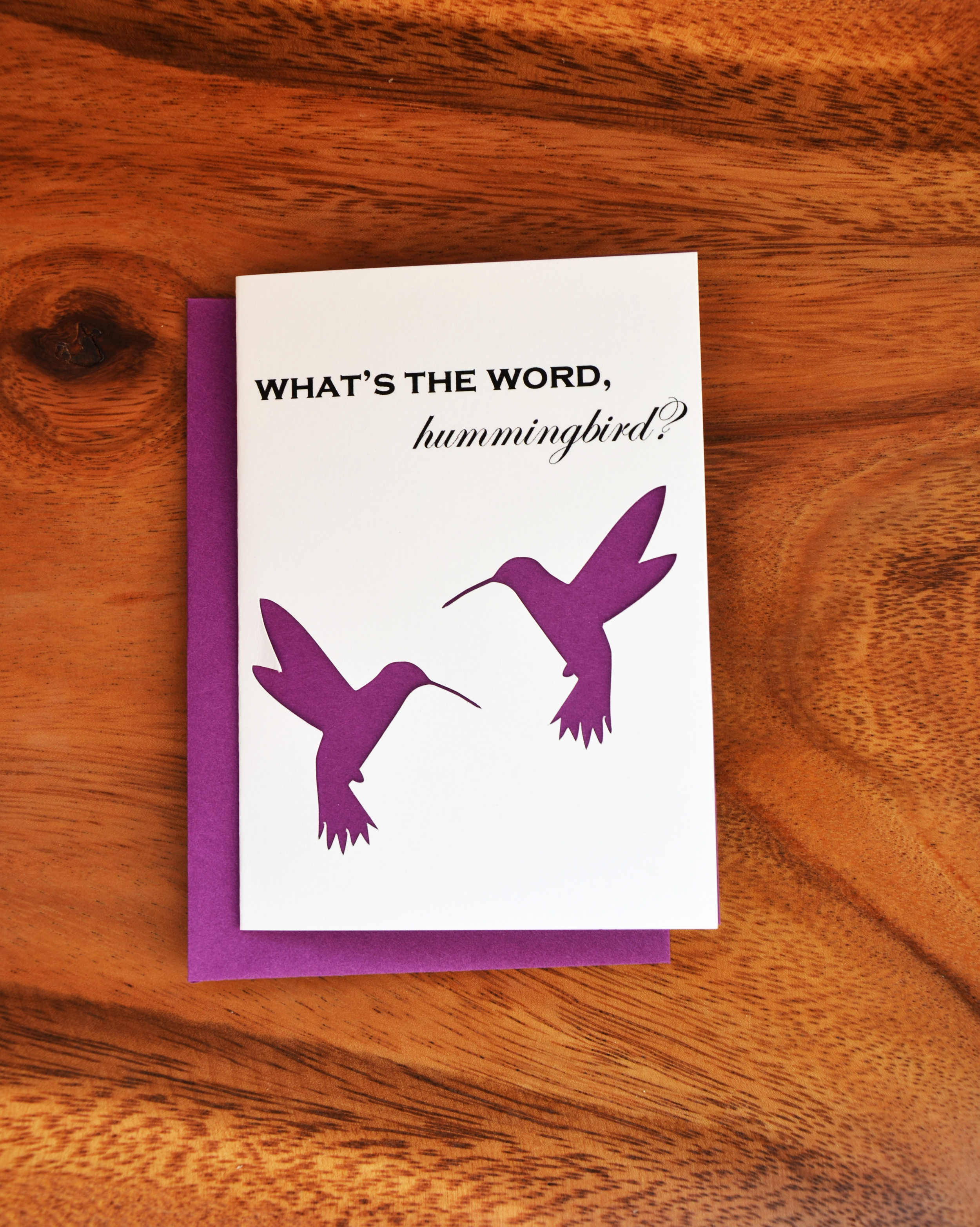 HummingbirdFr.jpg