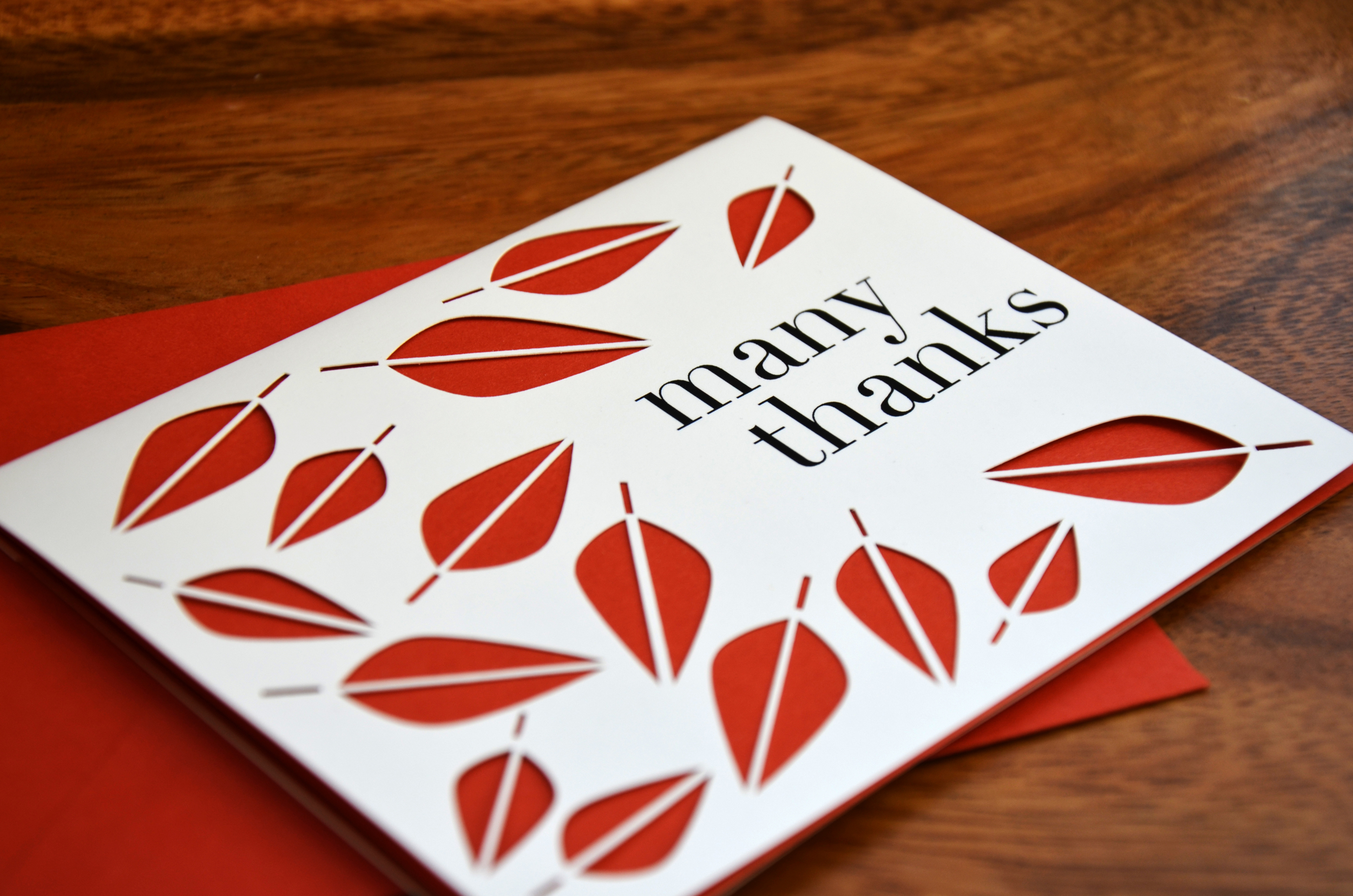 falling leaves thank you card | persimmon