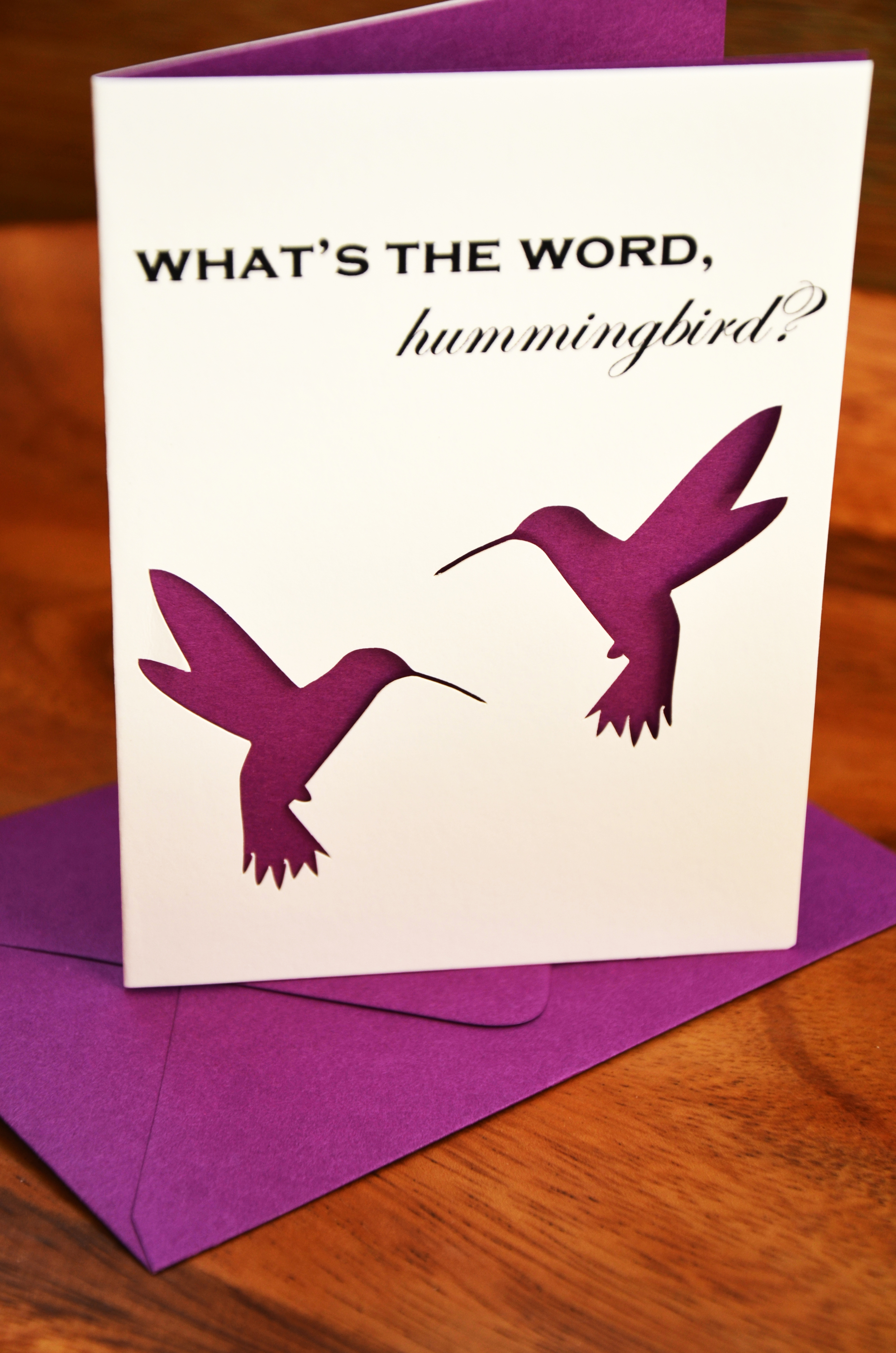what's the word, hummingbird? | bright purple