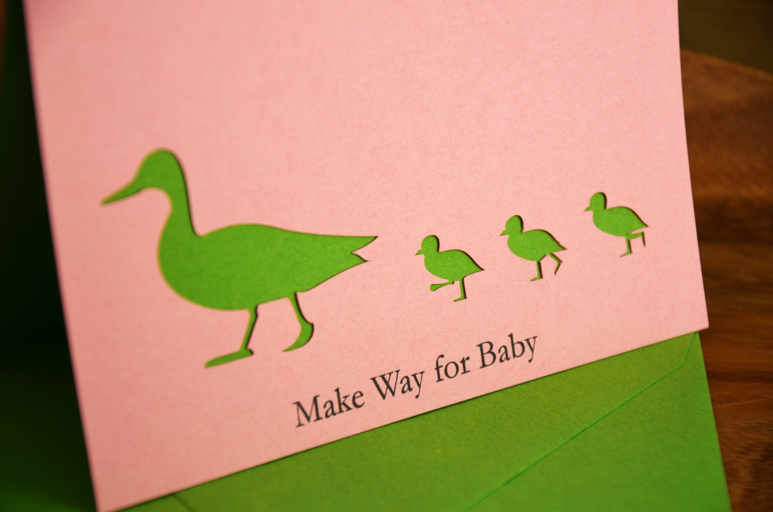 make way for baby | pink and green