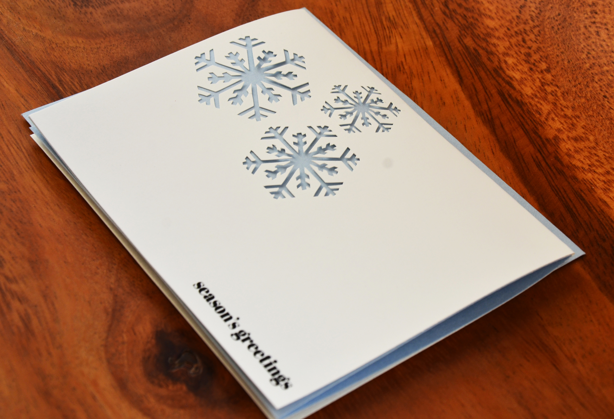 SGSnowflake2.jpg