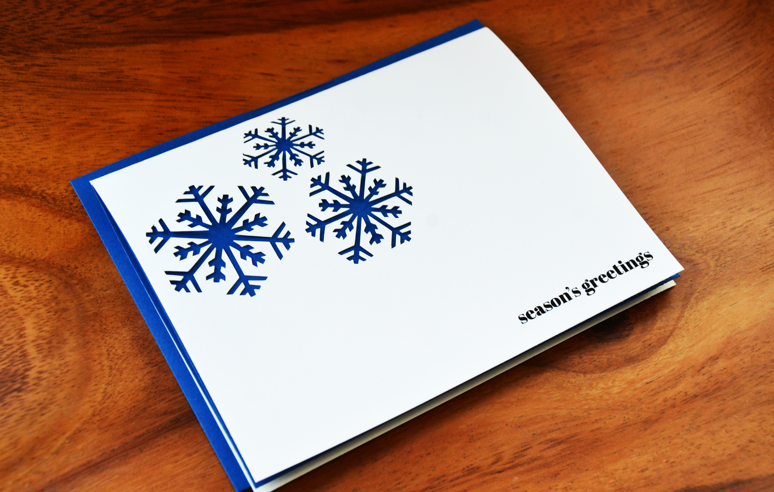 SGSnowflakeBrBlue1.jpg