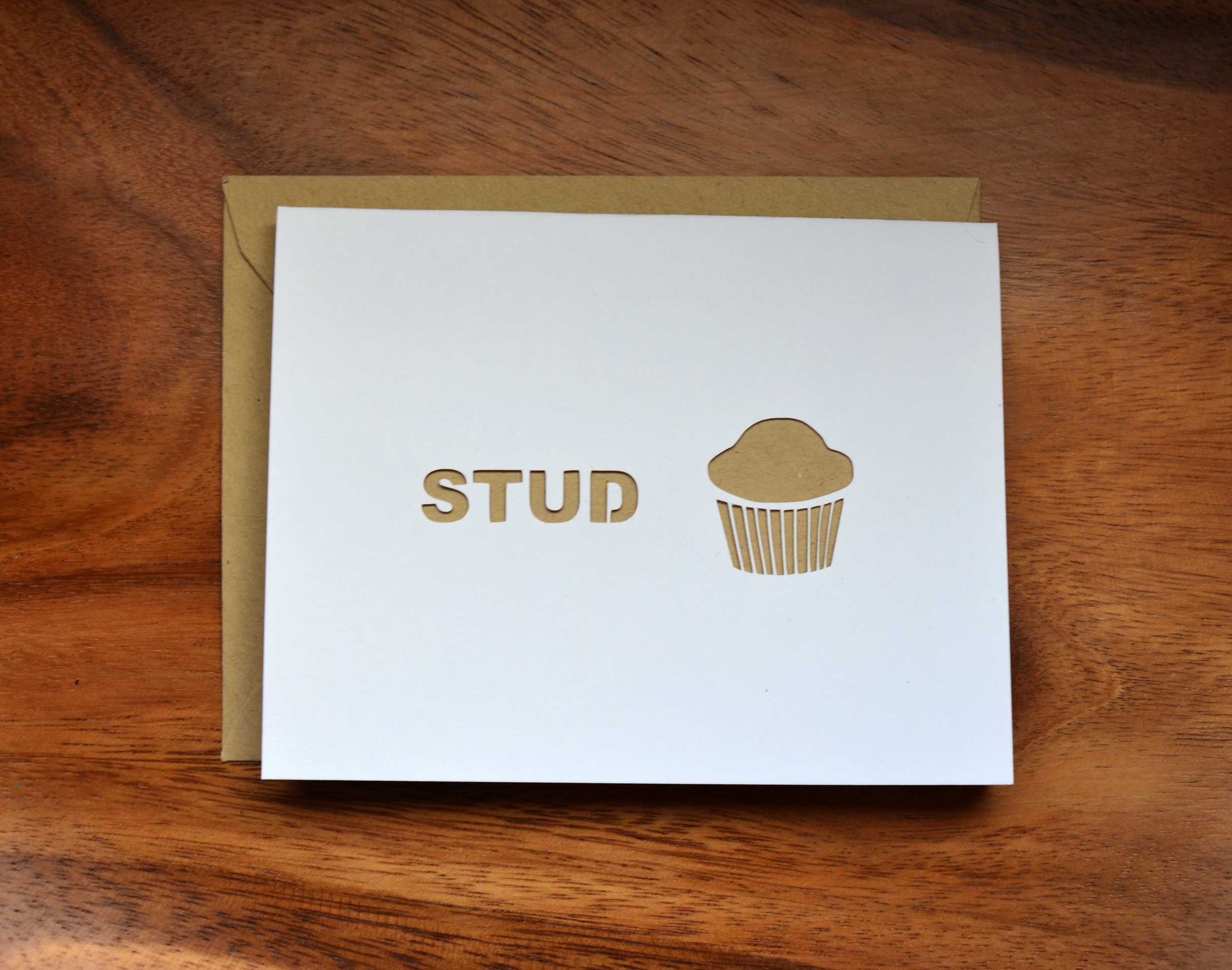 studdmuffinltbrFR.jpg