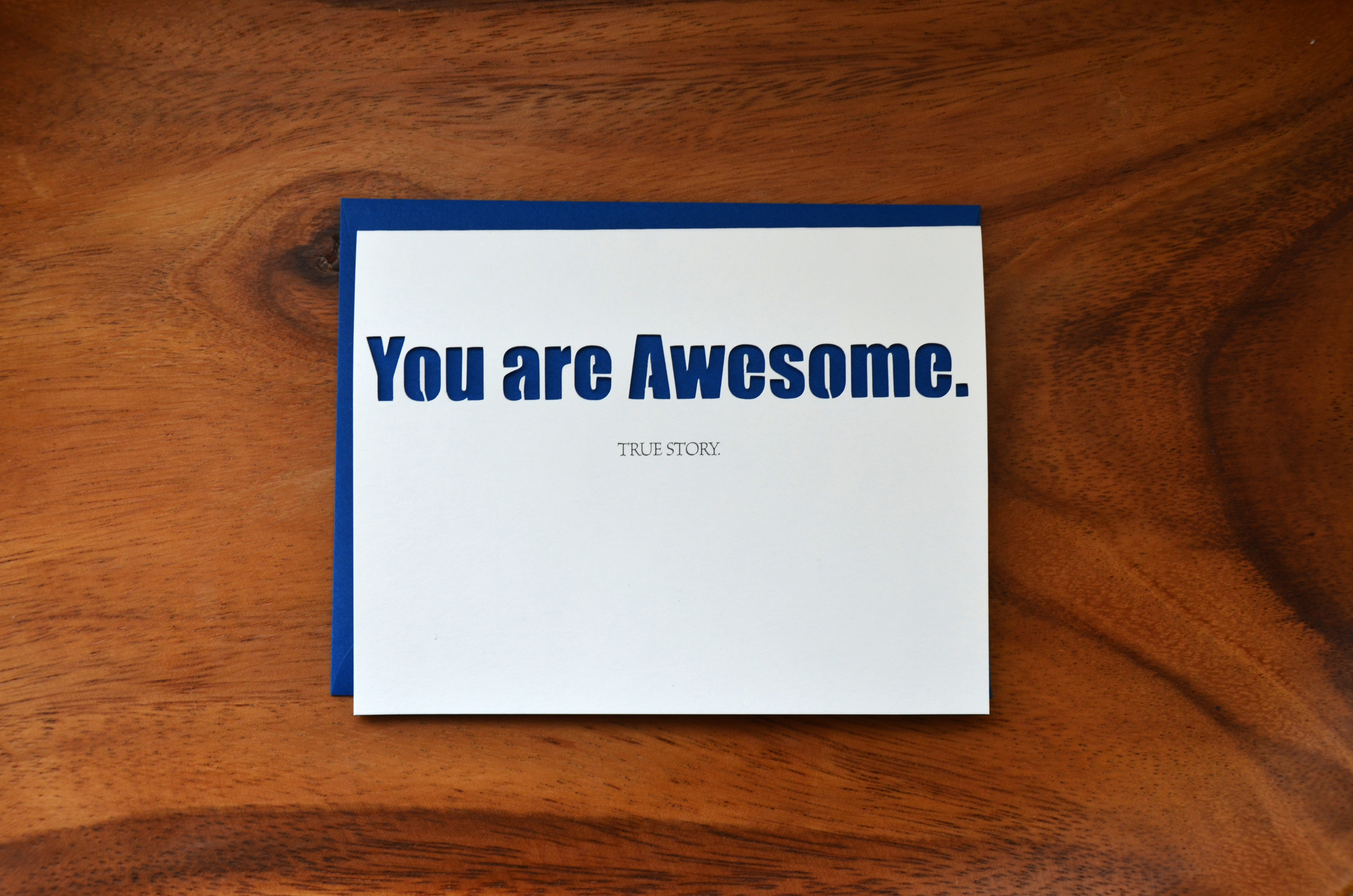 youareawesomeBrBlueFR.jpg