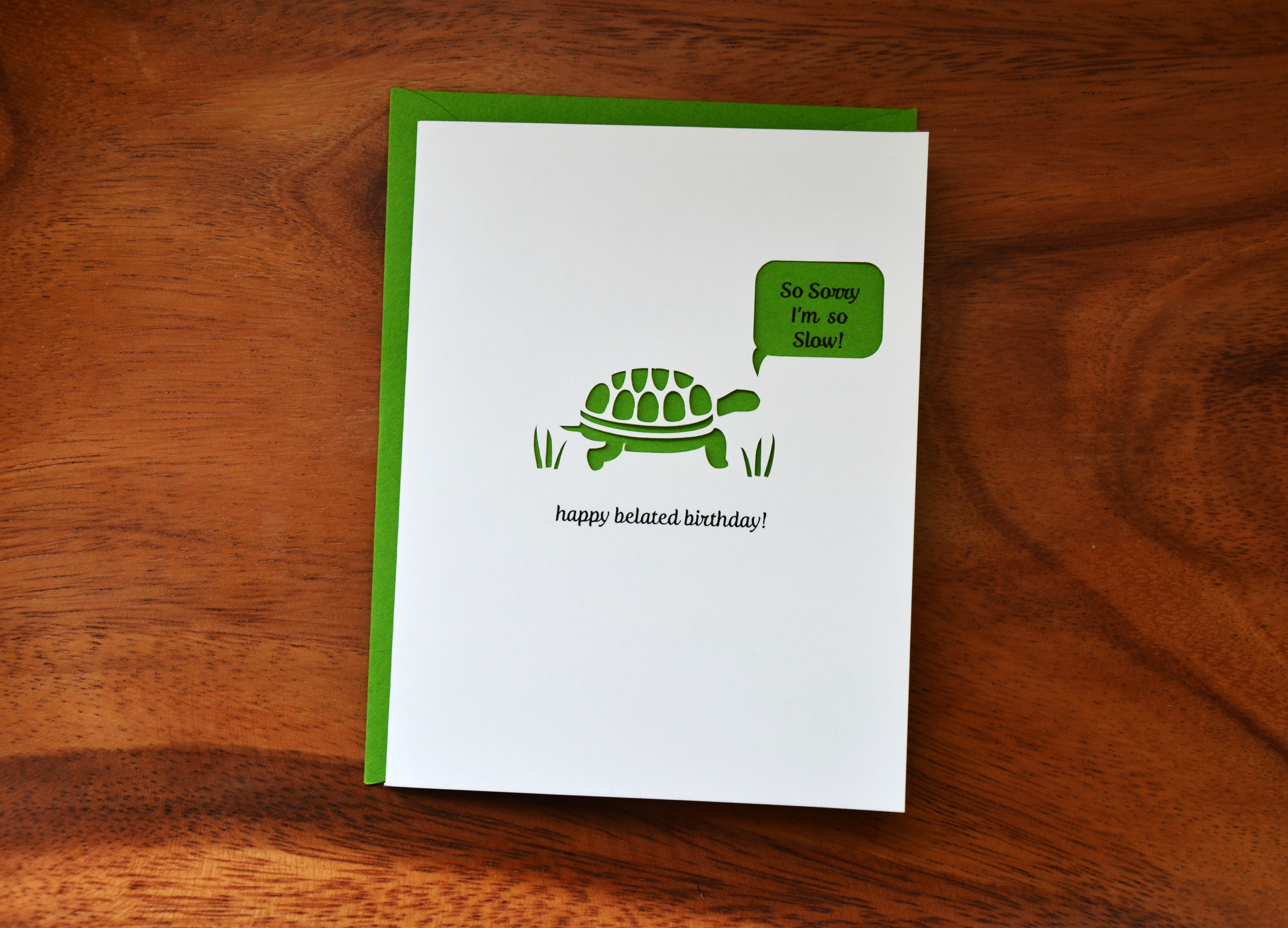 turtlebelatedbdayBrGreenFR.jpg