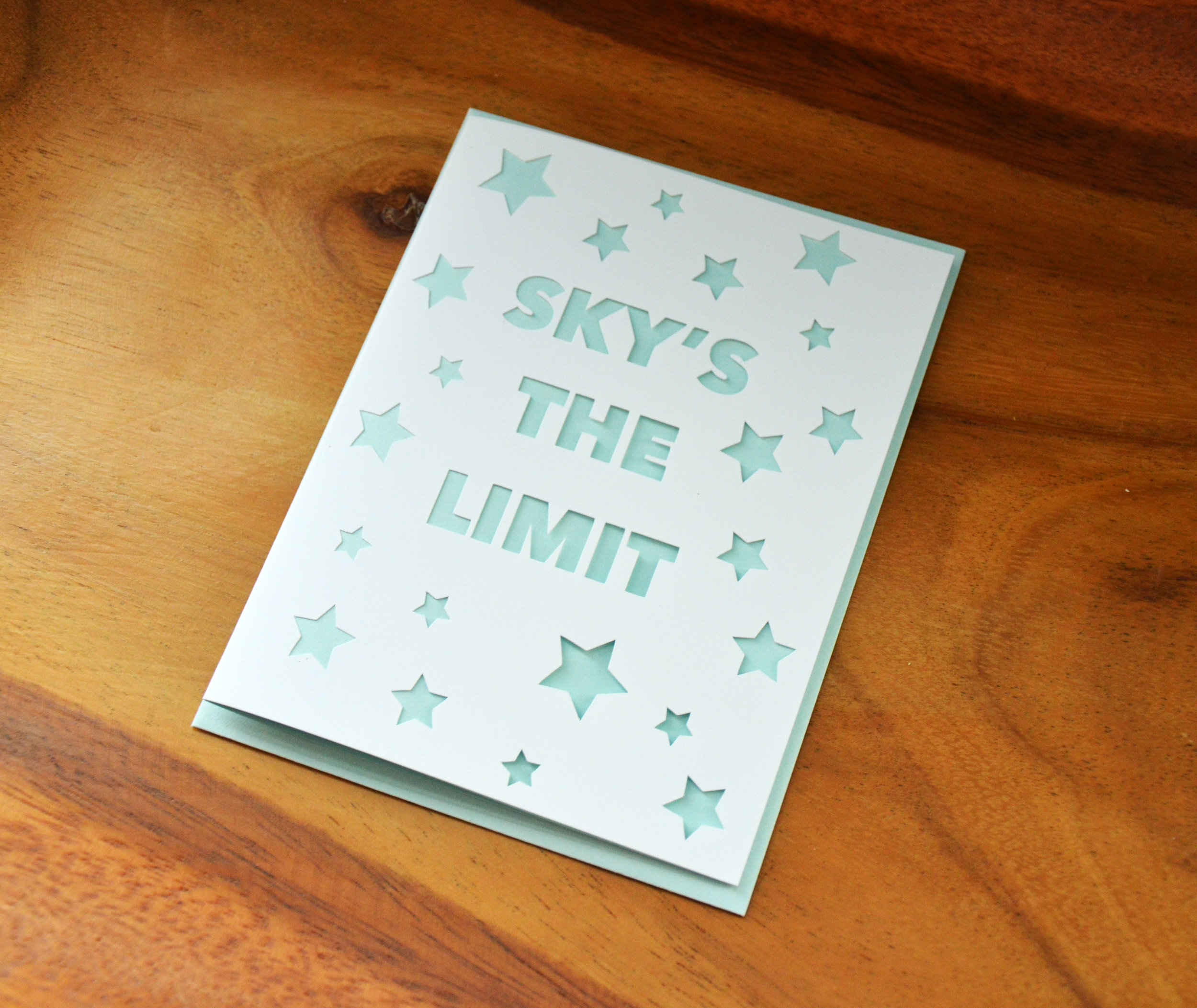 SkysTheLimit1.jpg