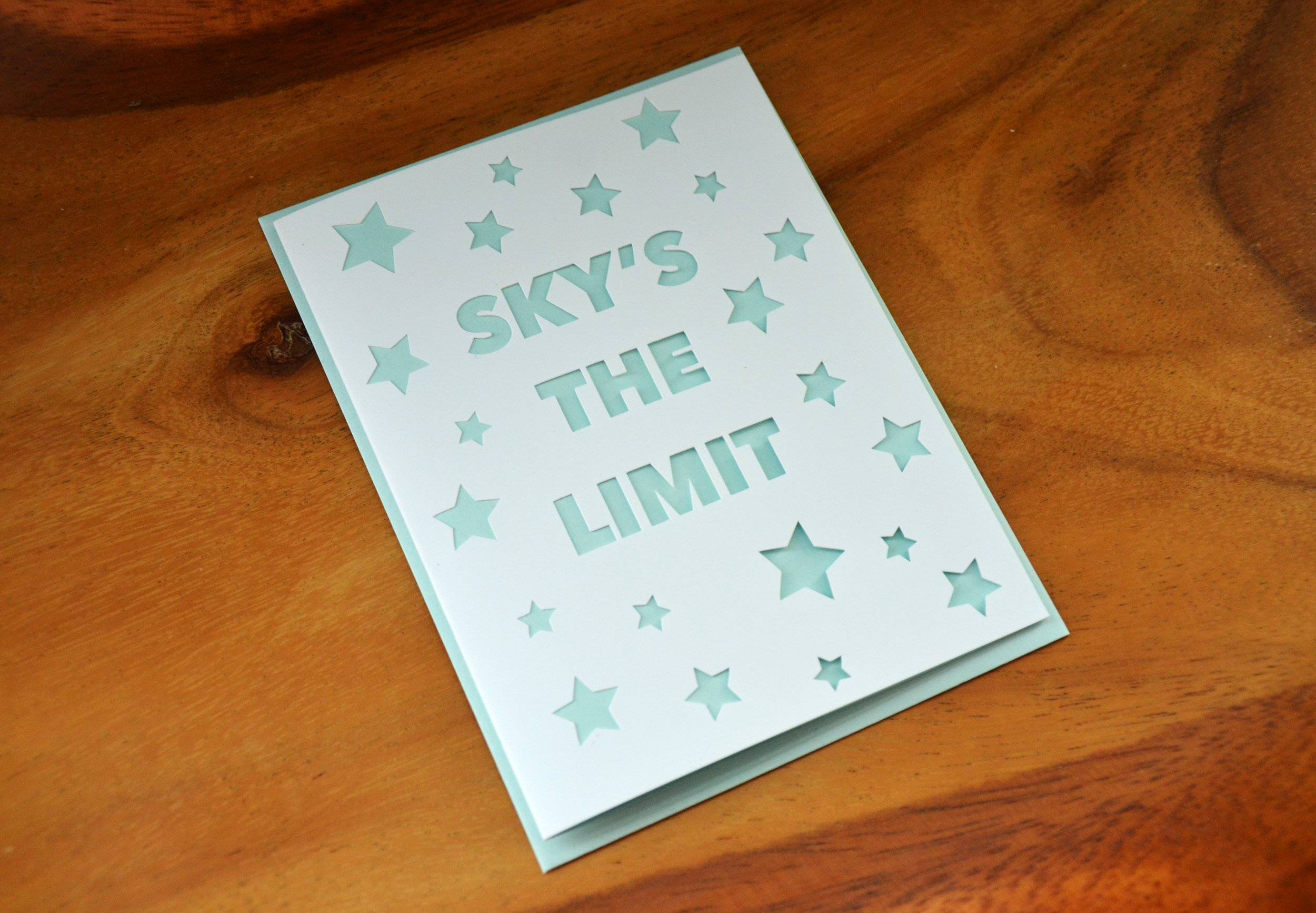 SkysTheLImit2.jpg