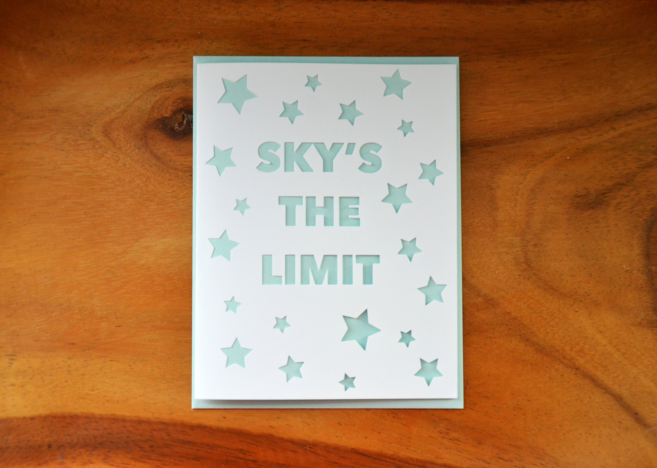 SkysTheLimitFR.jpg