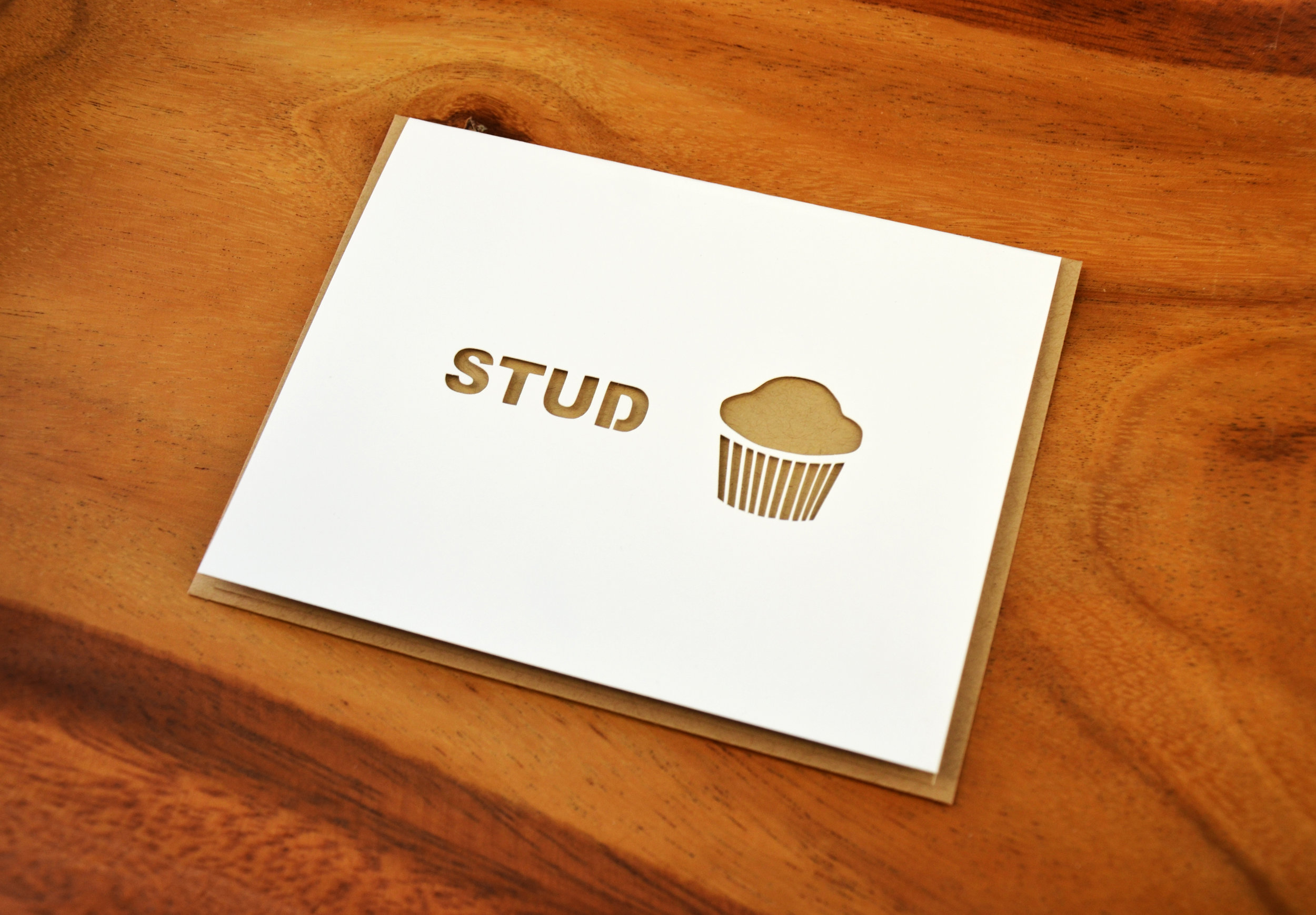 StudMuffLiBr1.jpg