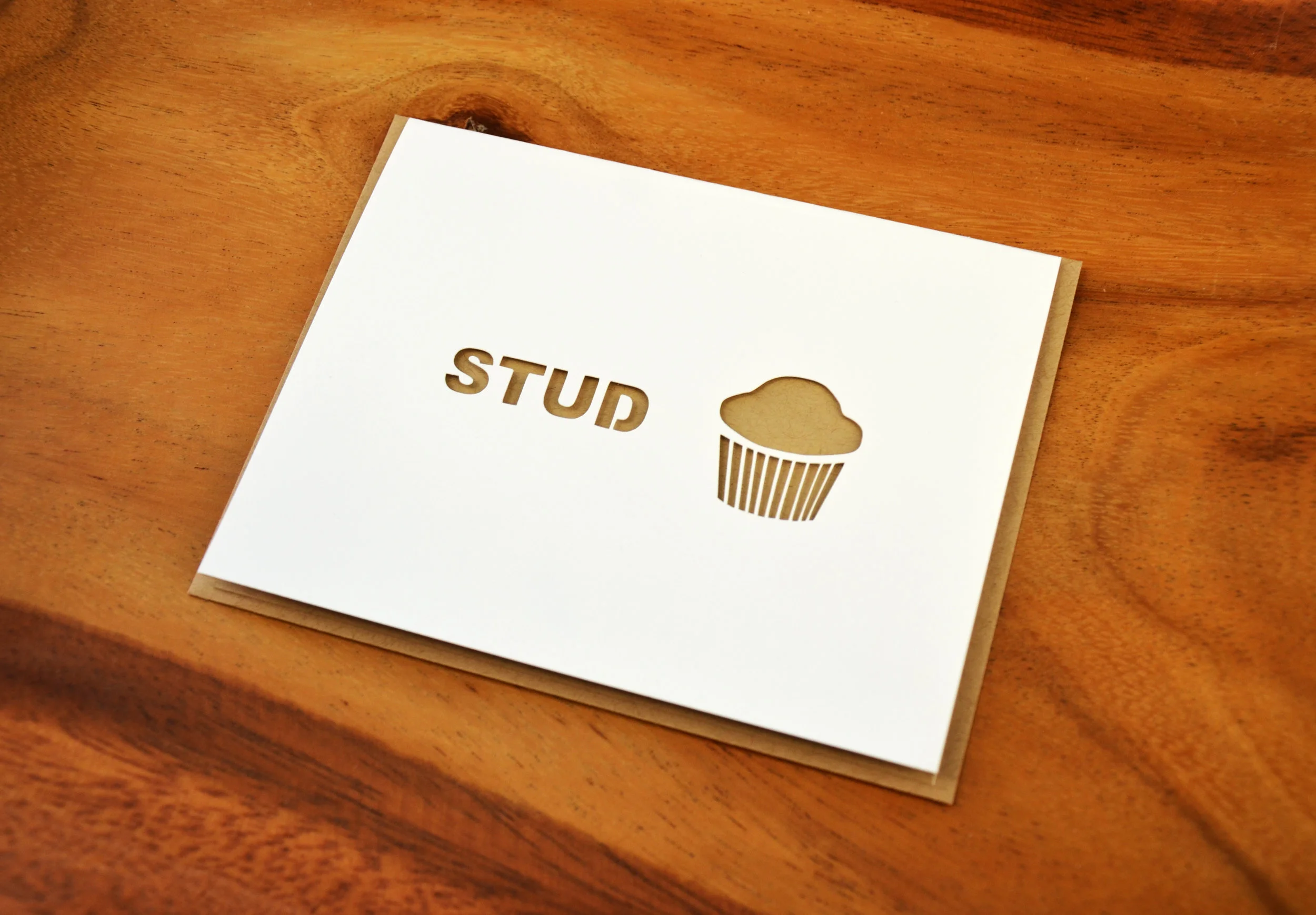 StudMuffLiBr1.jpg