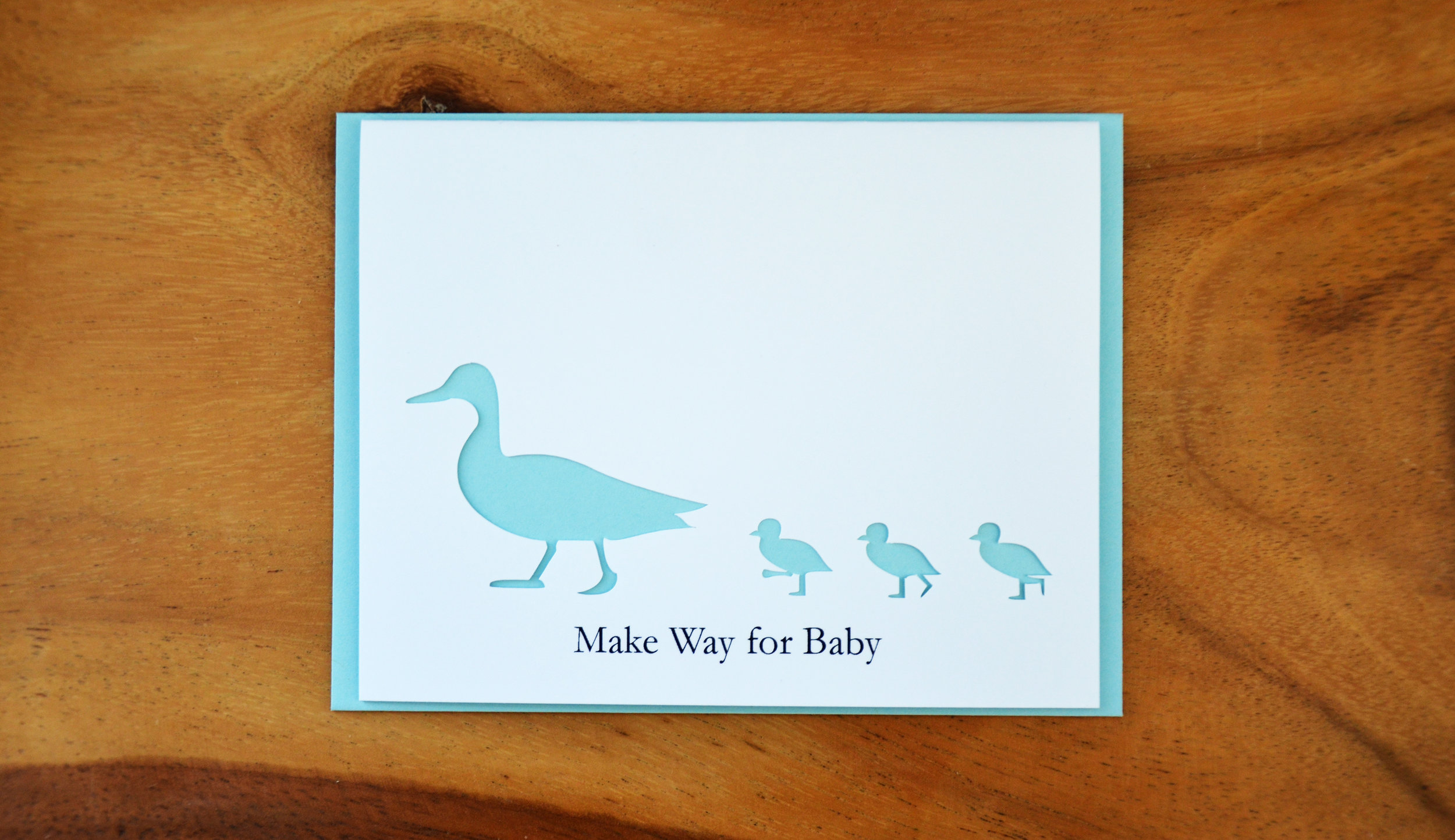 MakeWayBabyBlGrFR.jpg