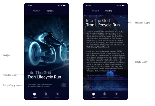 Tron_ArticleAnat.png