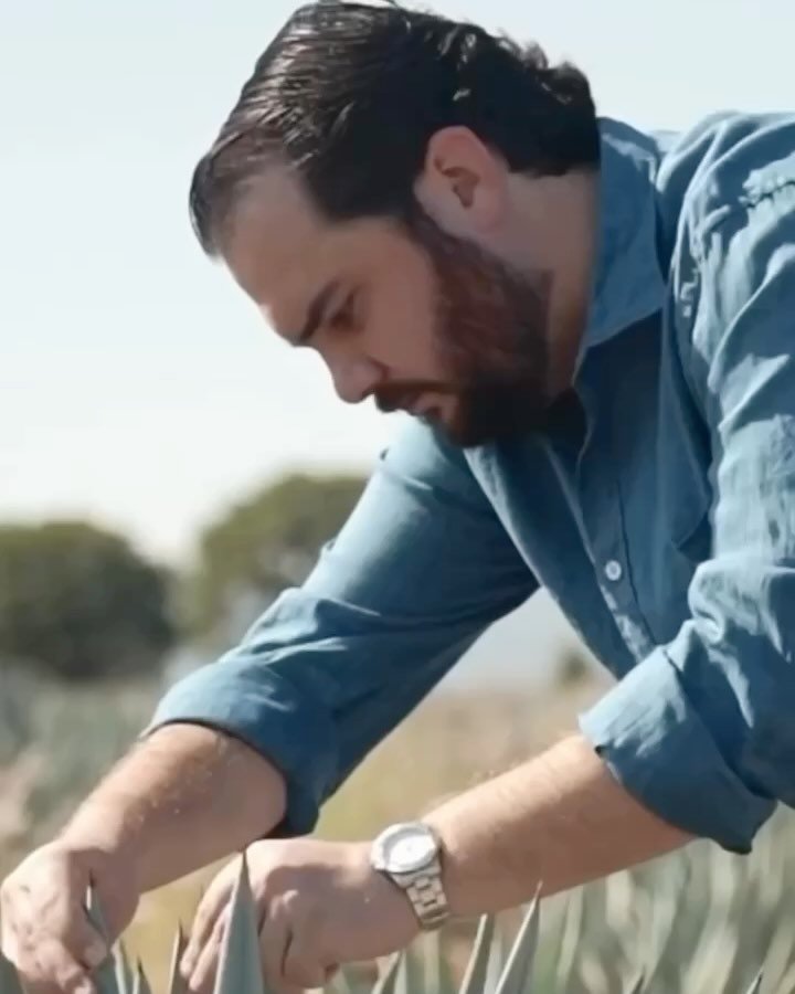 IGNITE Tequila: Combining tradition, history, and legacy with the modern part of the tequila world. 100% Blue Weber Agave, harvested at its peak of maturity, our tequila can be enjoyed neat, on-the-rocks, or in your favorite craft cocktail. @ignite.s