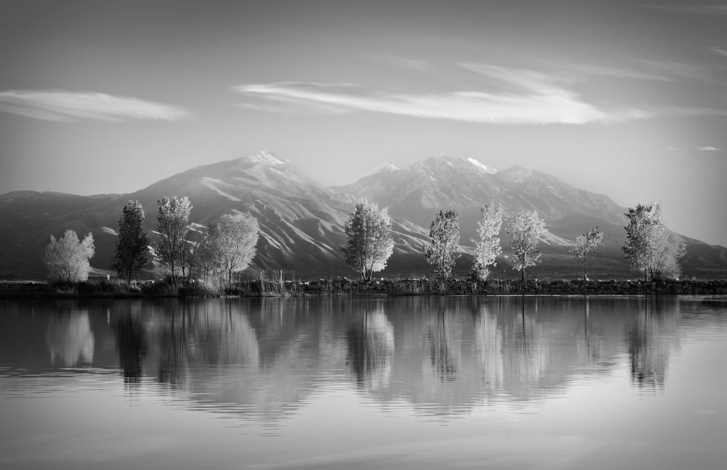 Landscape_003.jpg