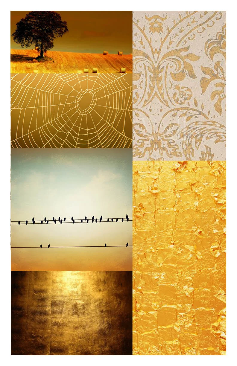 Golden Board.jpg