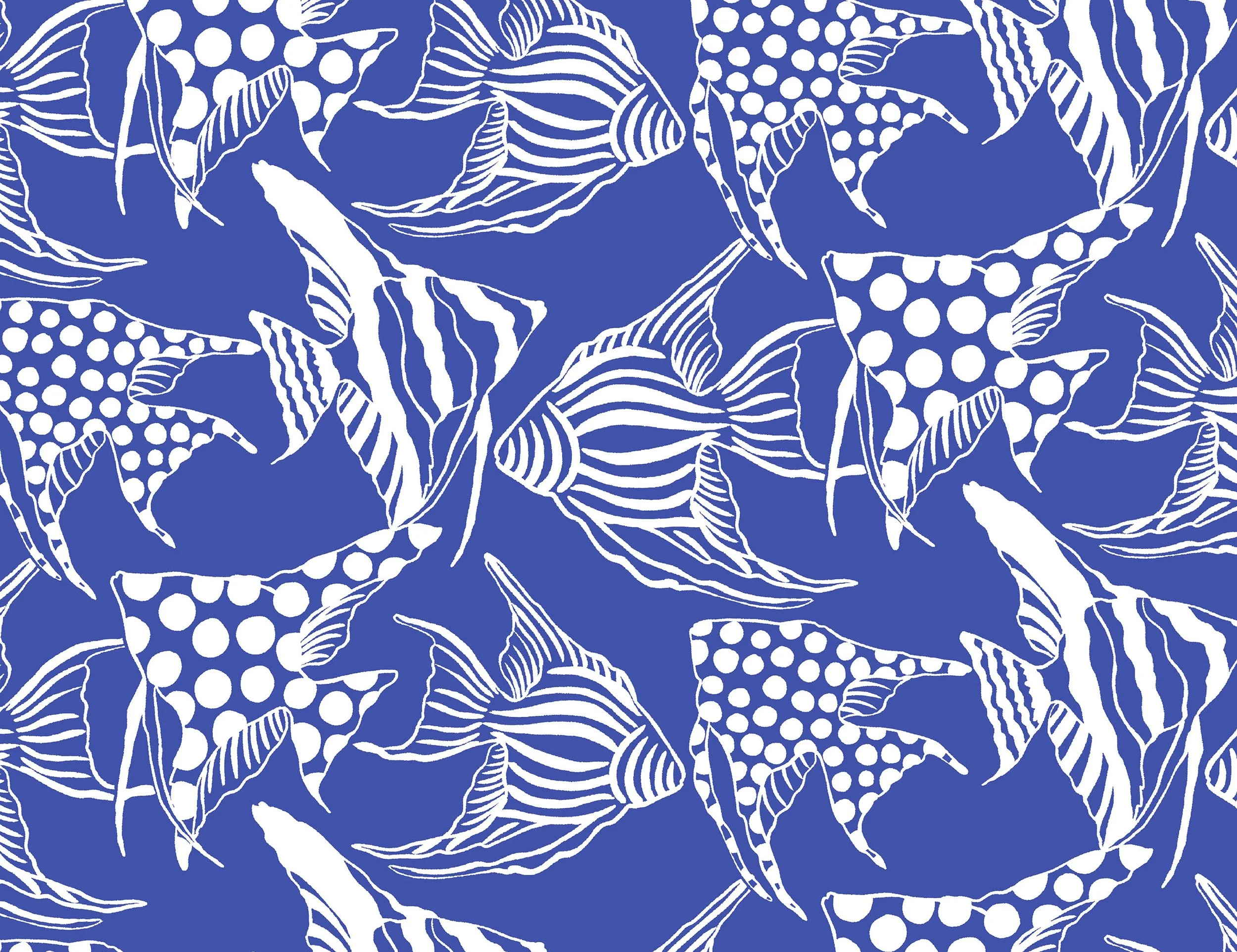 AngelFish.jpeg
