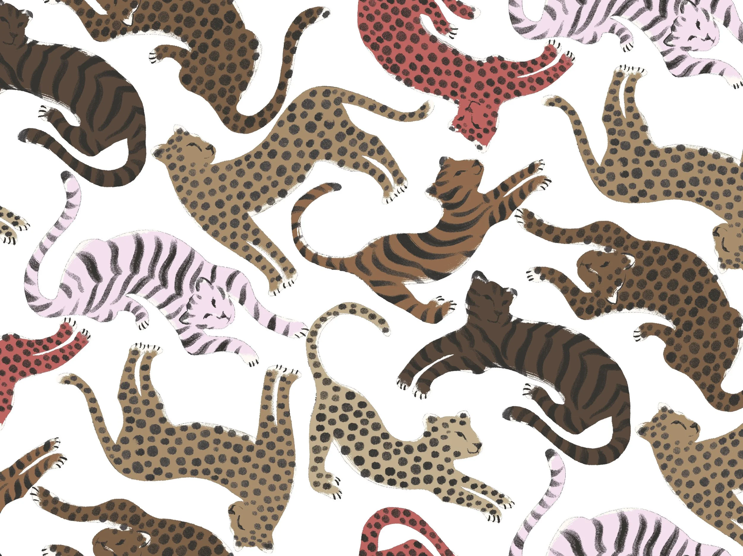LPP25218ChillingCheetahs2.jpg