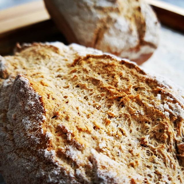 Gluten Free Millet bread...still warm!
w/ @arrowheadmills Organic Millet Flour

#glutenfree #bread #vegan #gumfree #localrootschef #personalchef #foxcities #appleton #foxcities #kaukauna #wisconsin